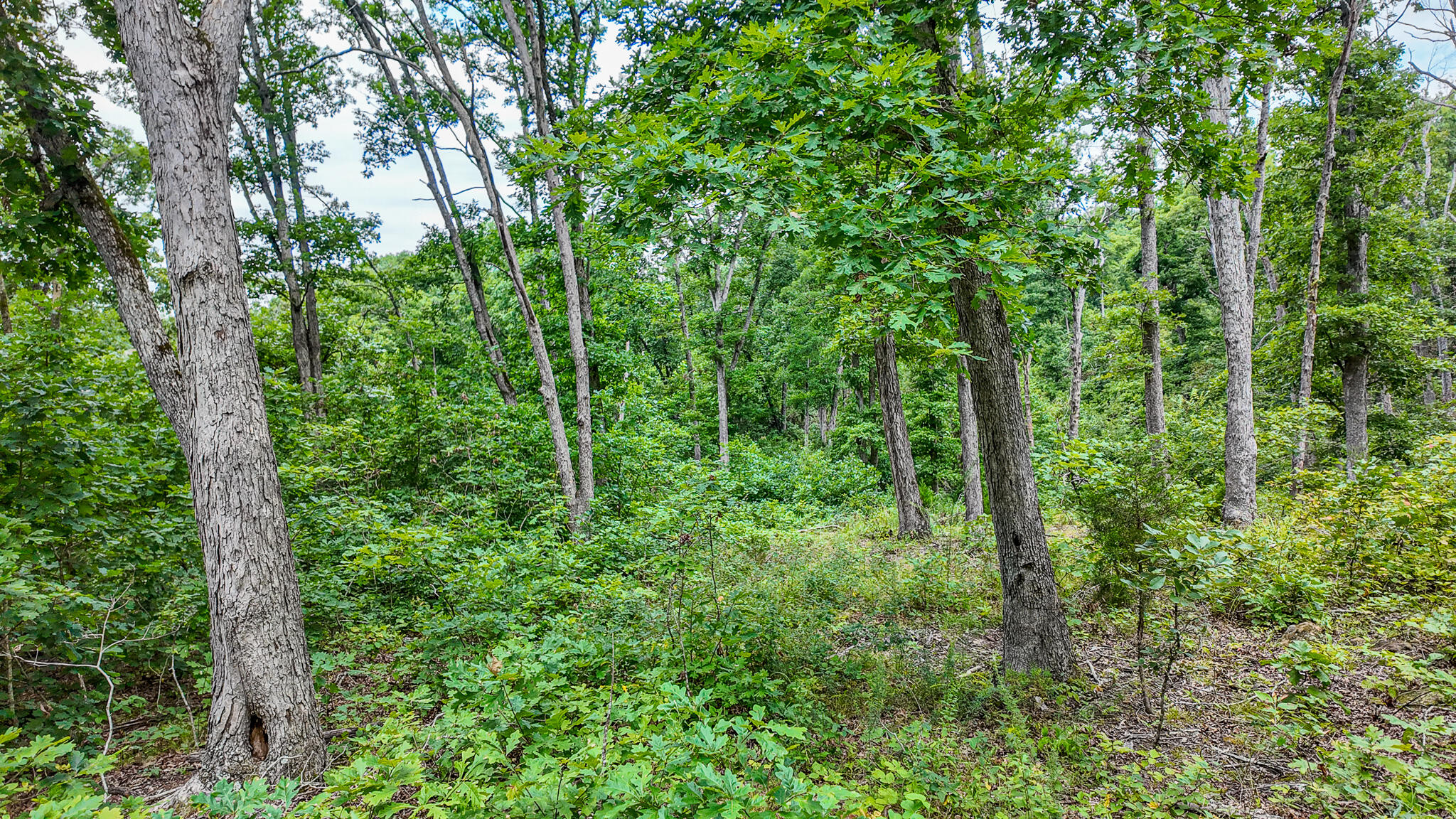 0000 Northeast 251 Road Property Photo 41