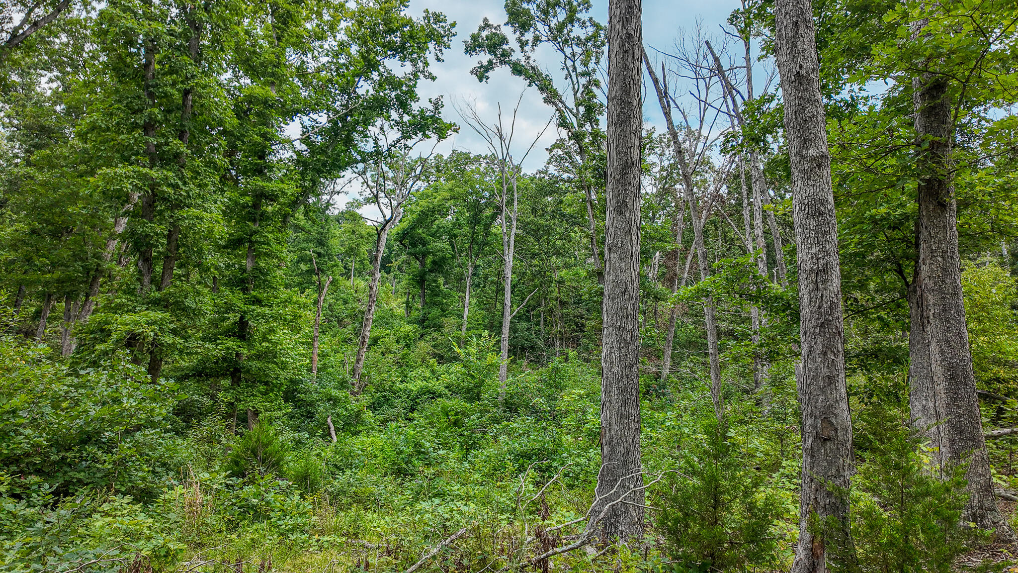 0000 Northeast 251 Road Property Photo 42