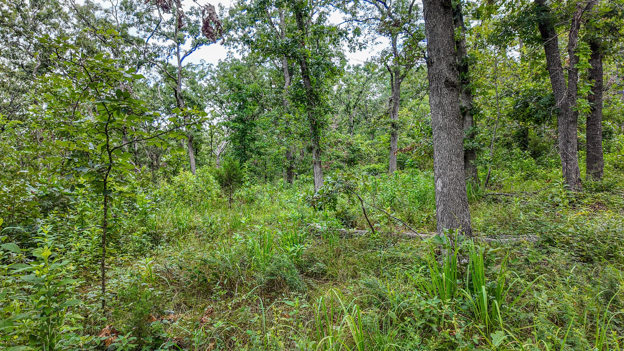 0000 Northeast 251 Road Property Photo 43