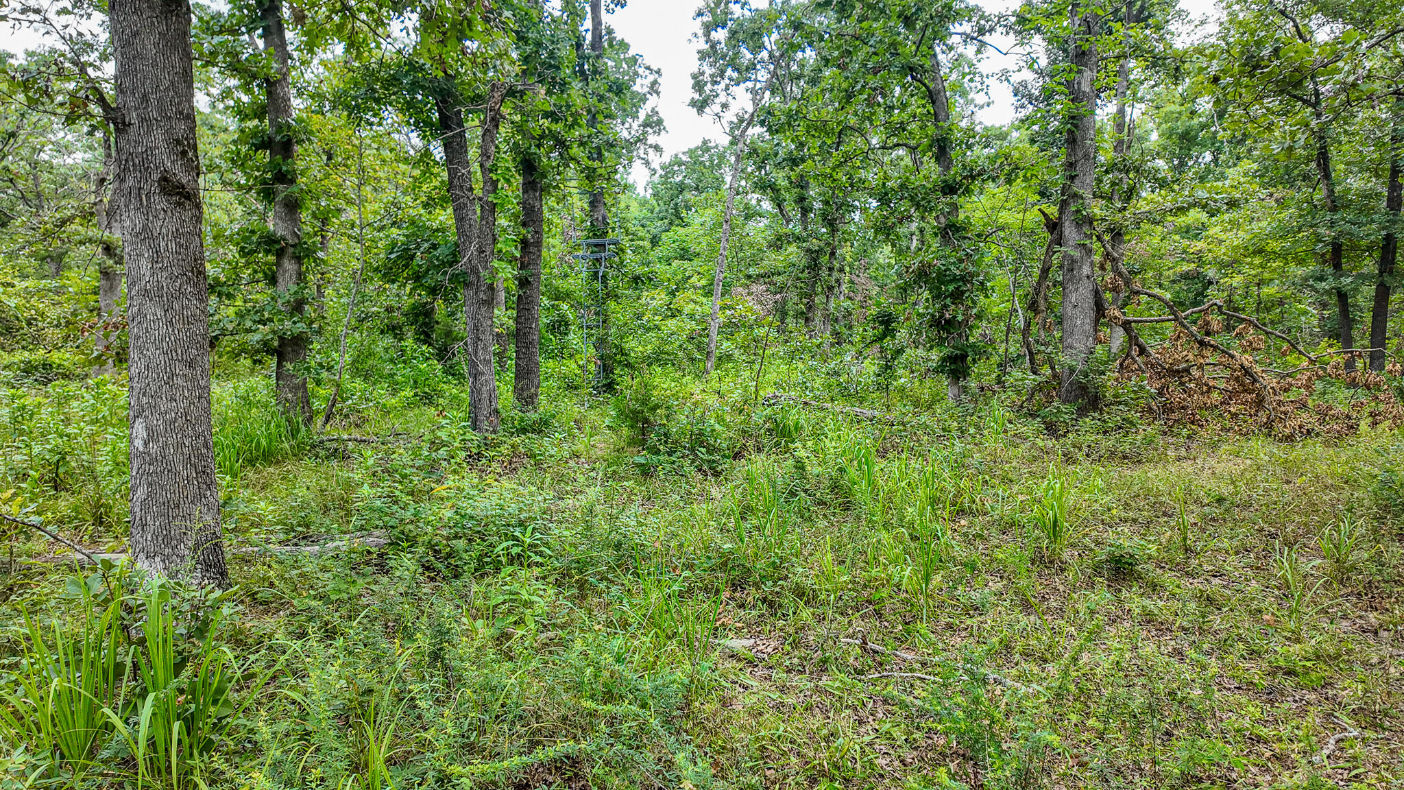 0000 Northeast 251 Road Property Photo 44