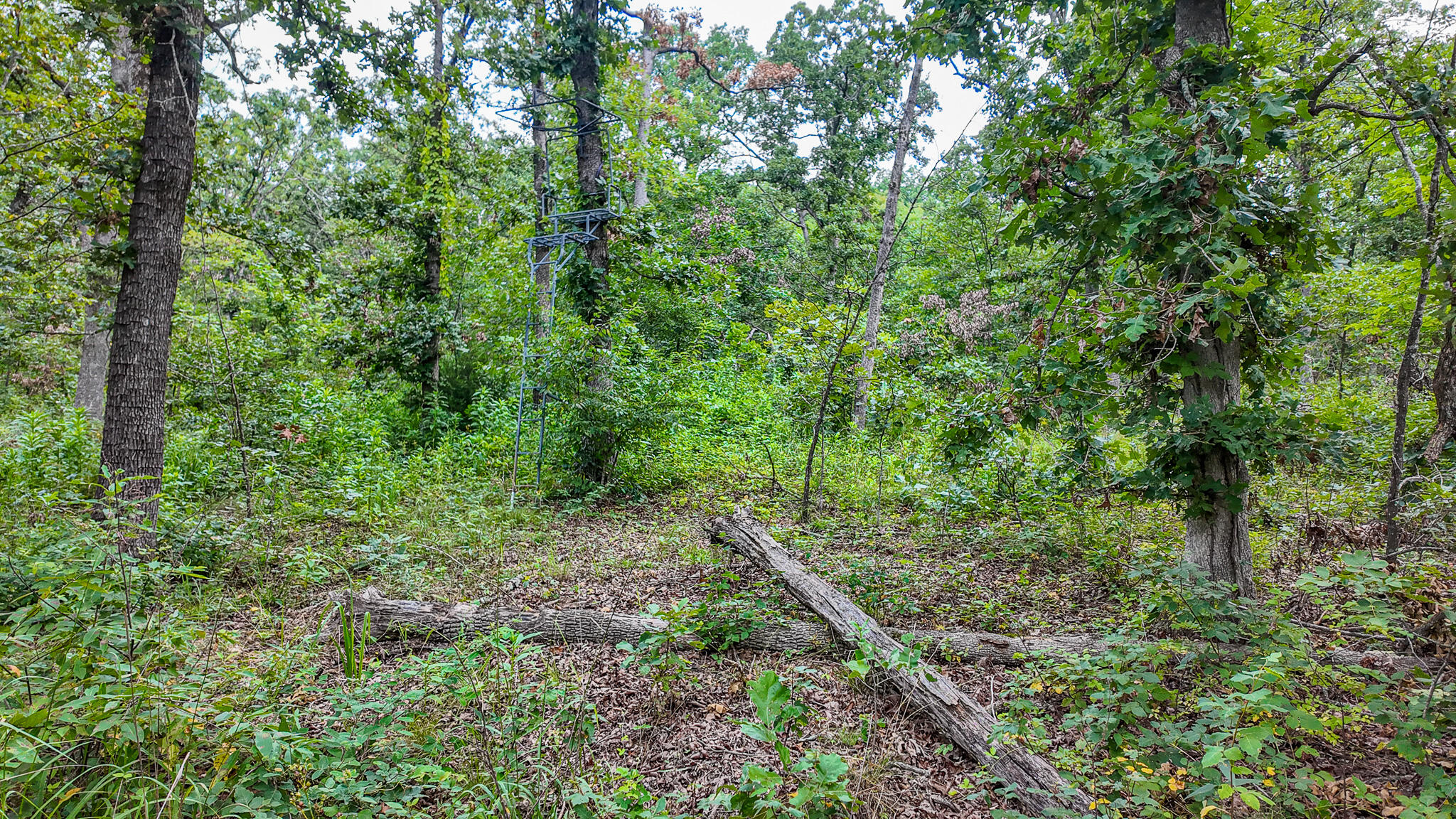 0000 Northeast 251 Road Property Photo 45