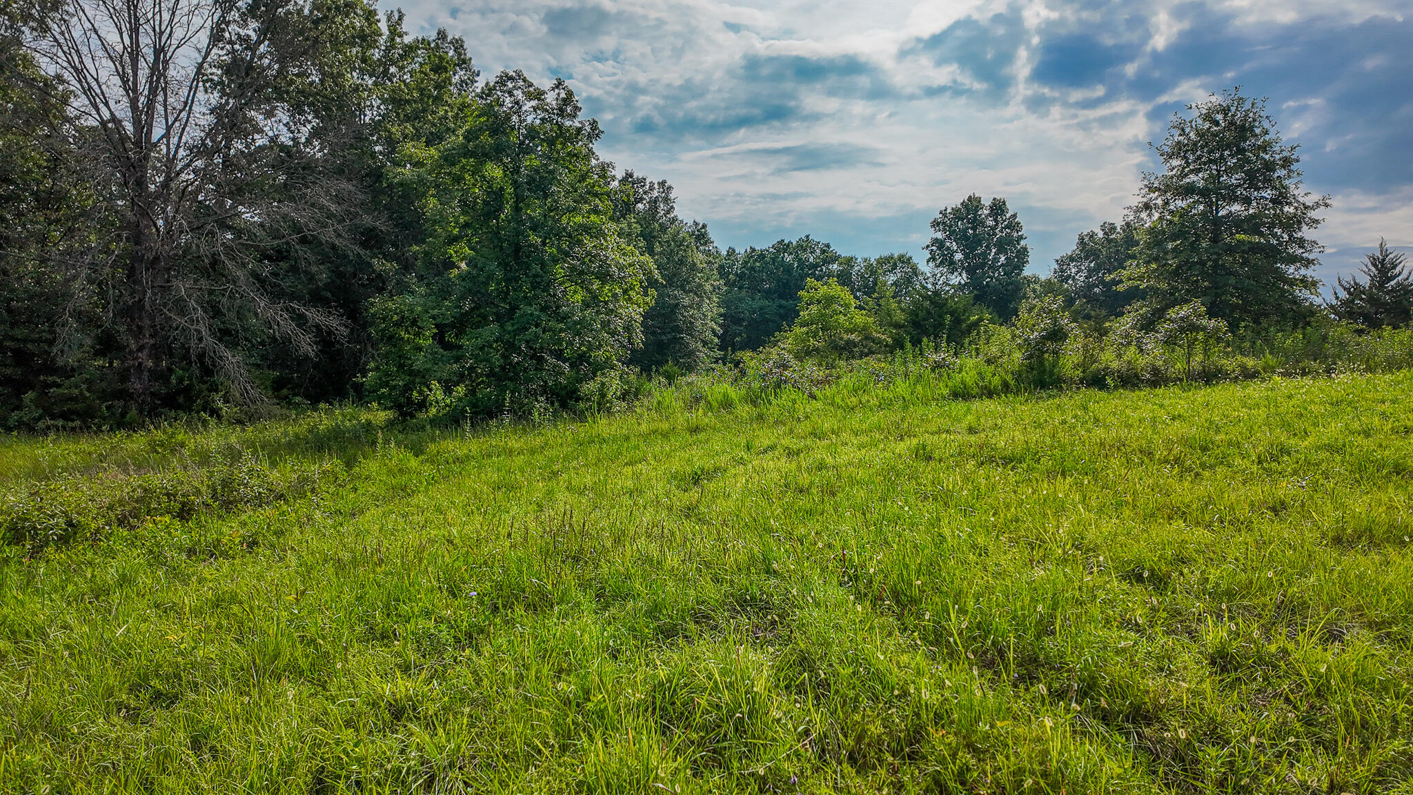 0000 Northeast 251 Road Property Photo 46