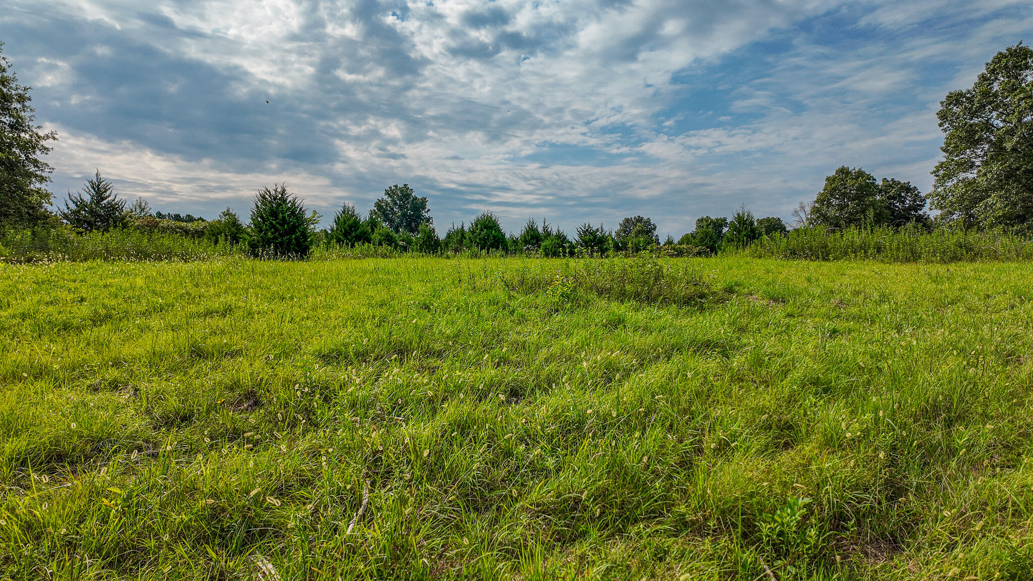 0000 Northeast 251 Road Property Photo 47