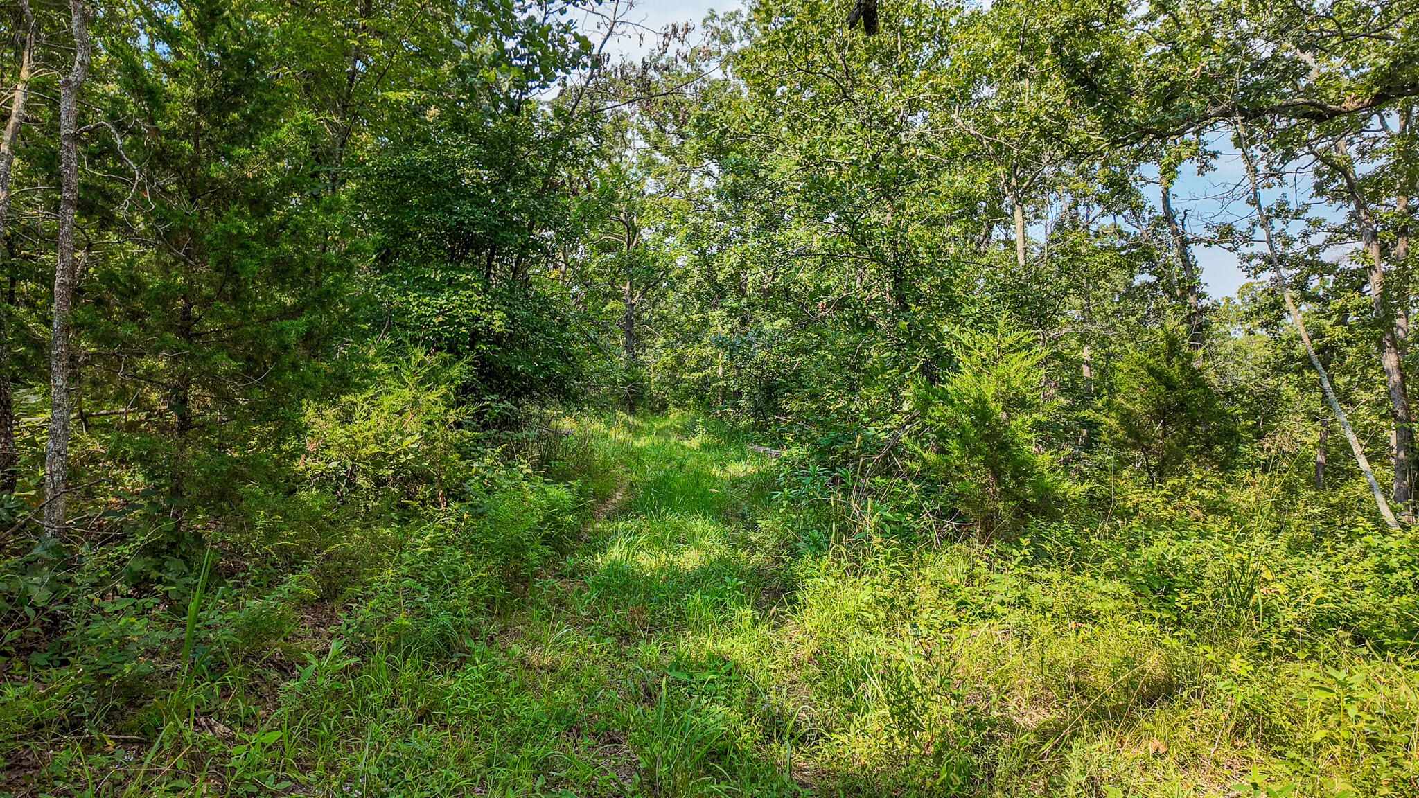 0000 Northeast 251 Road Property Photo 53