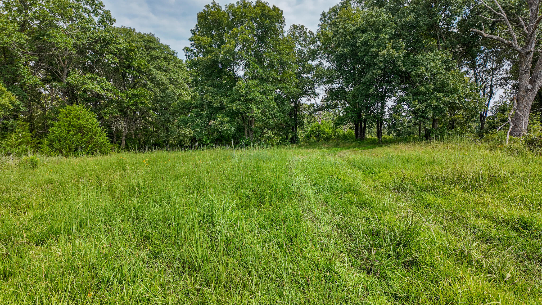 0000 Northeast 251 Road Property Photo 57
