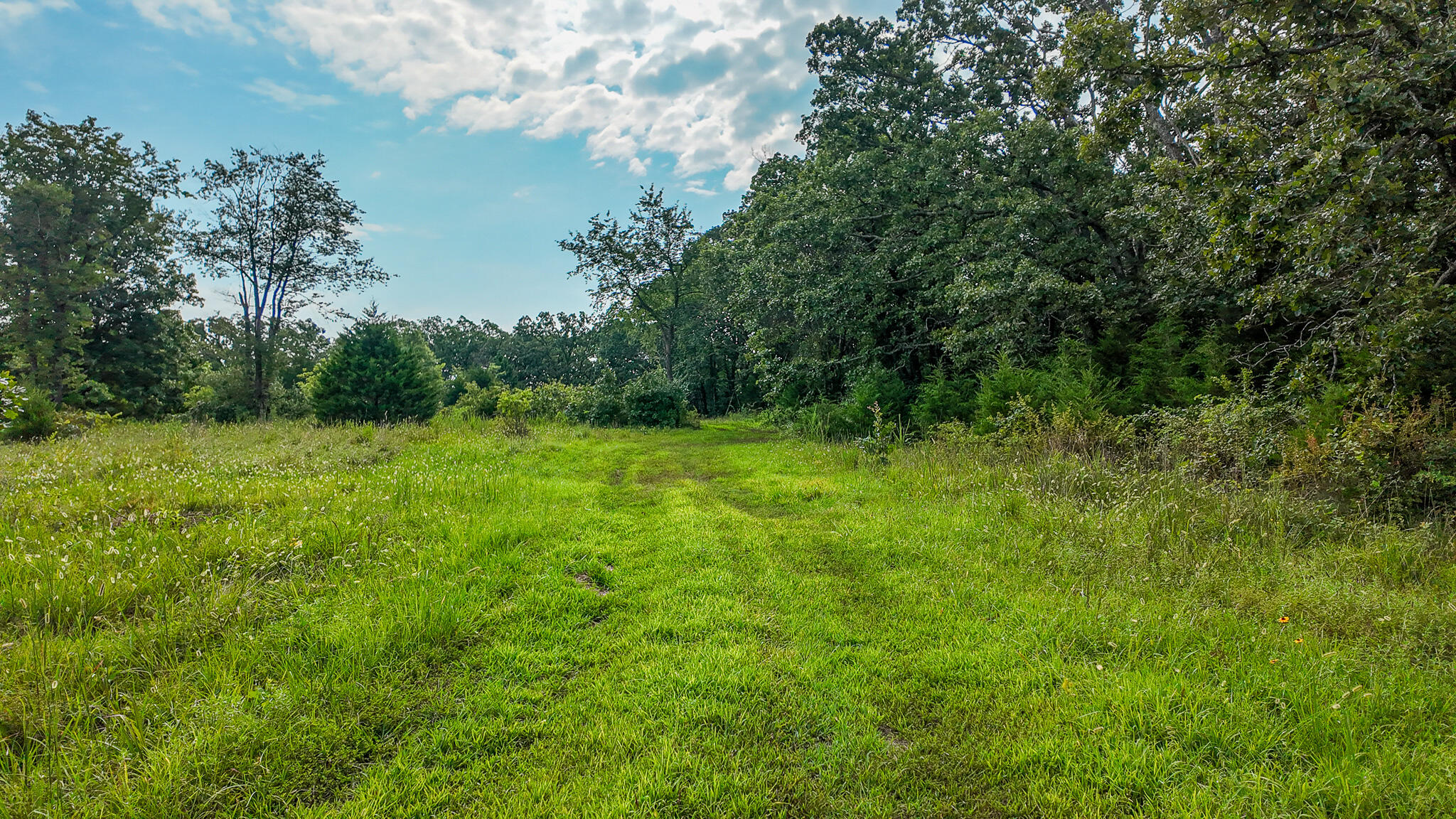 0000 Northeast 251 Road Property Photo 61