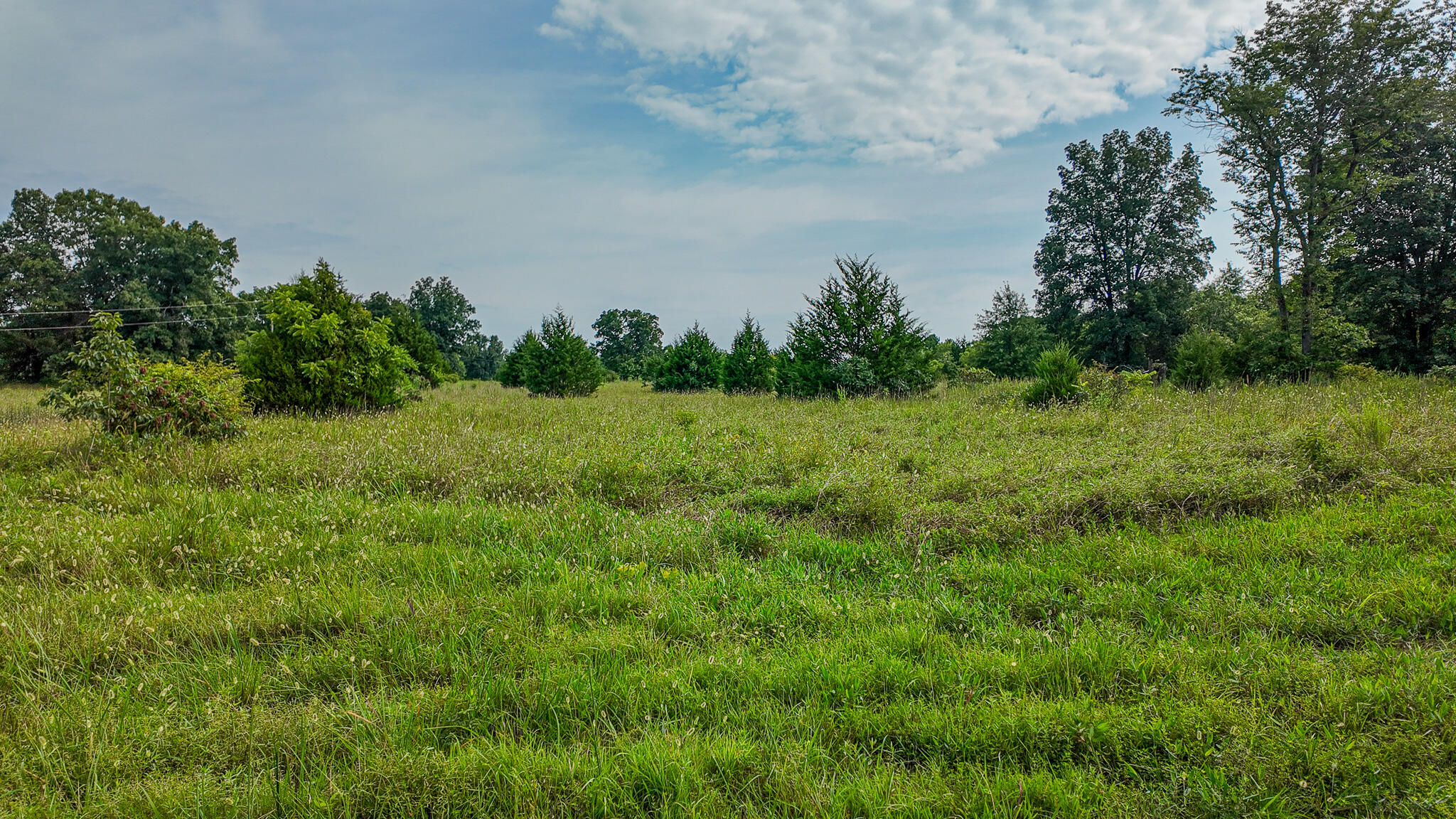 0000 Northeast 251 Road Property Photo 62