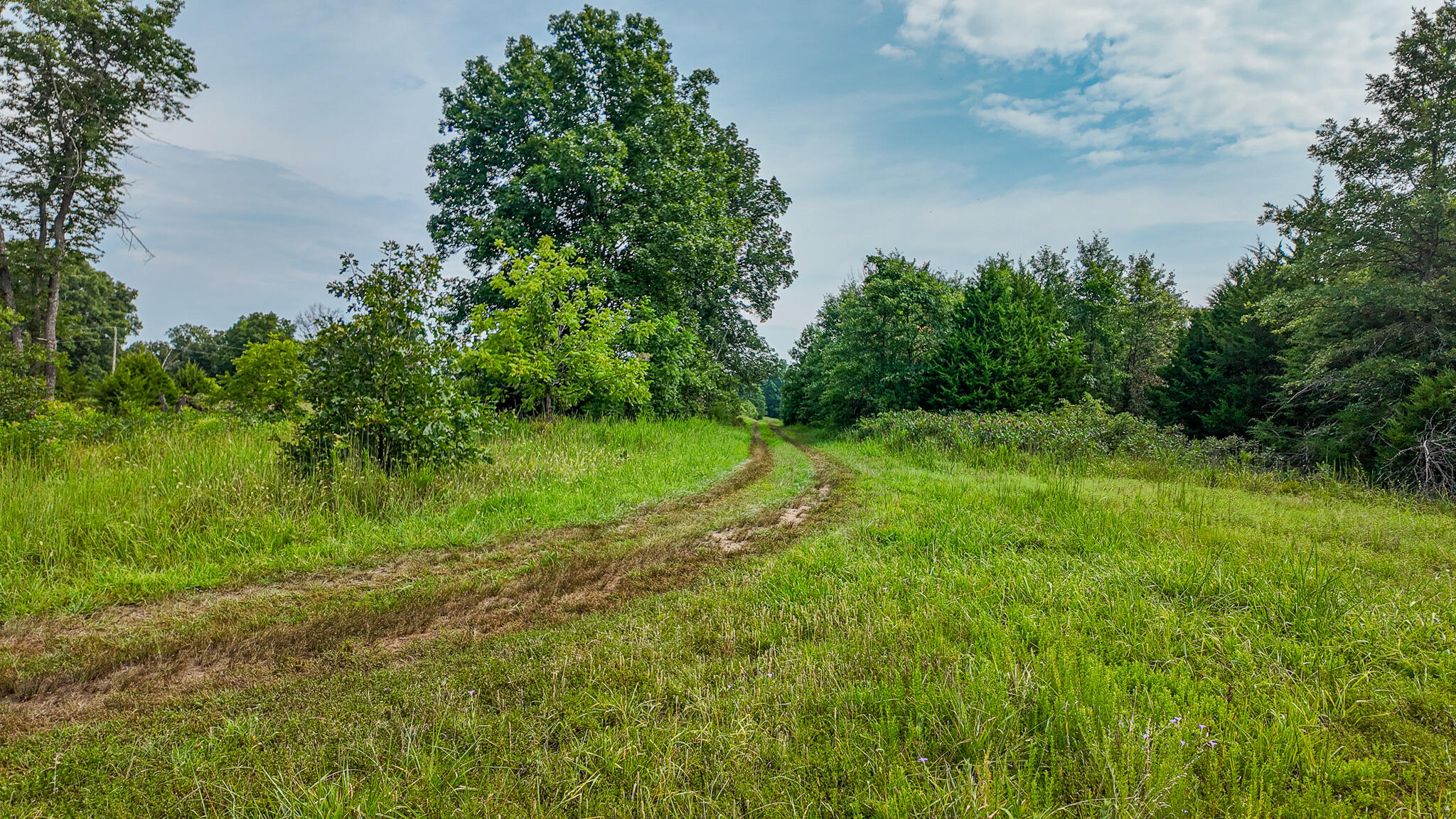 0000 Northeast 251 Road Property Photo 63