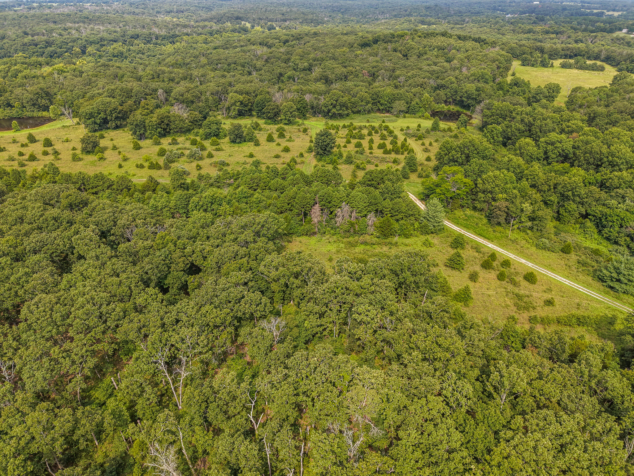 0000 Northeast 251 Road Property Photo 65