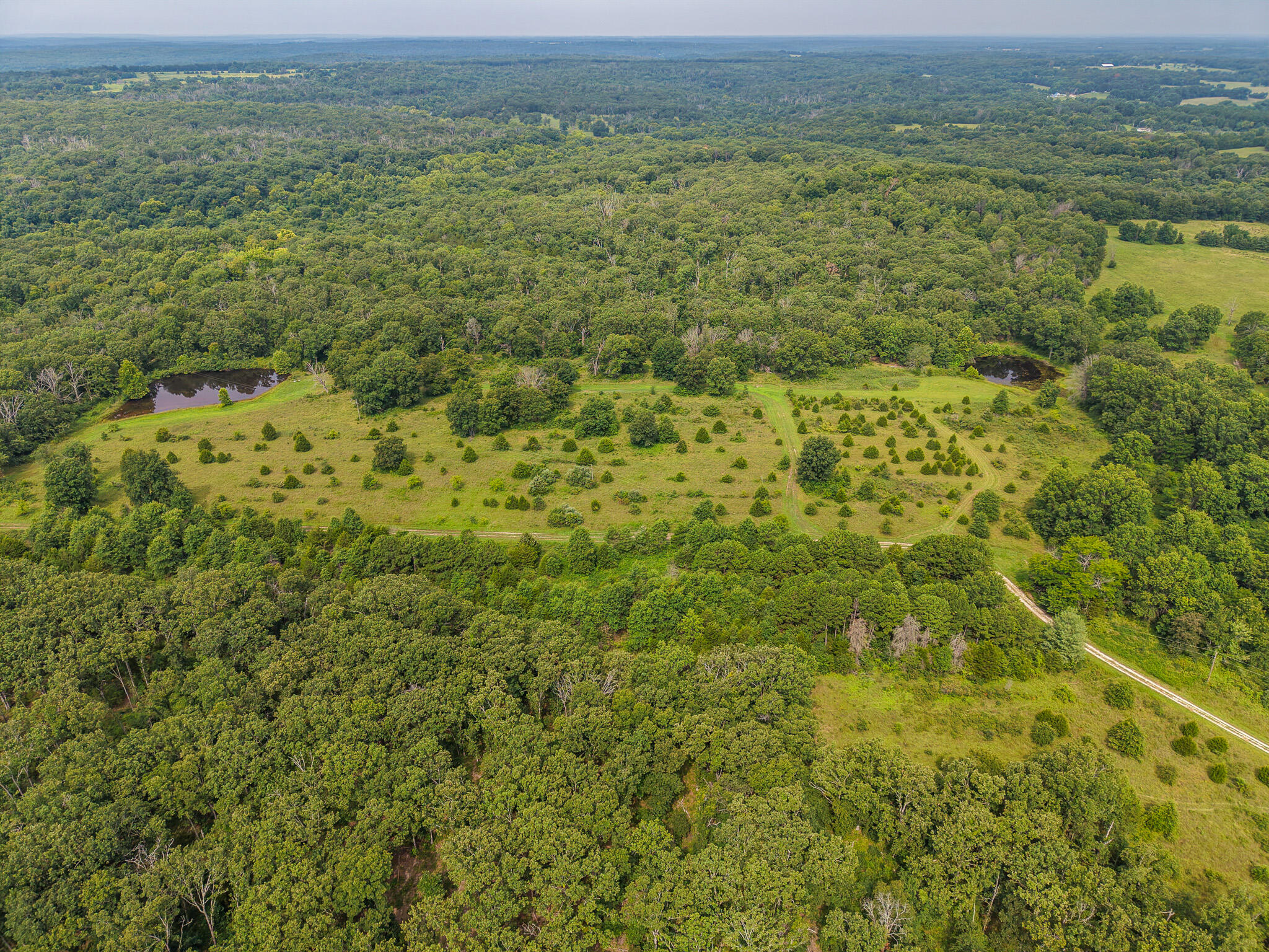 0000 Northeast 251 Road Property Photo 66