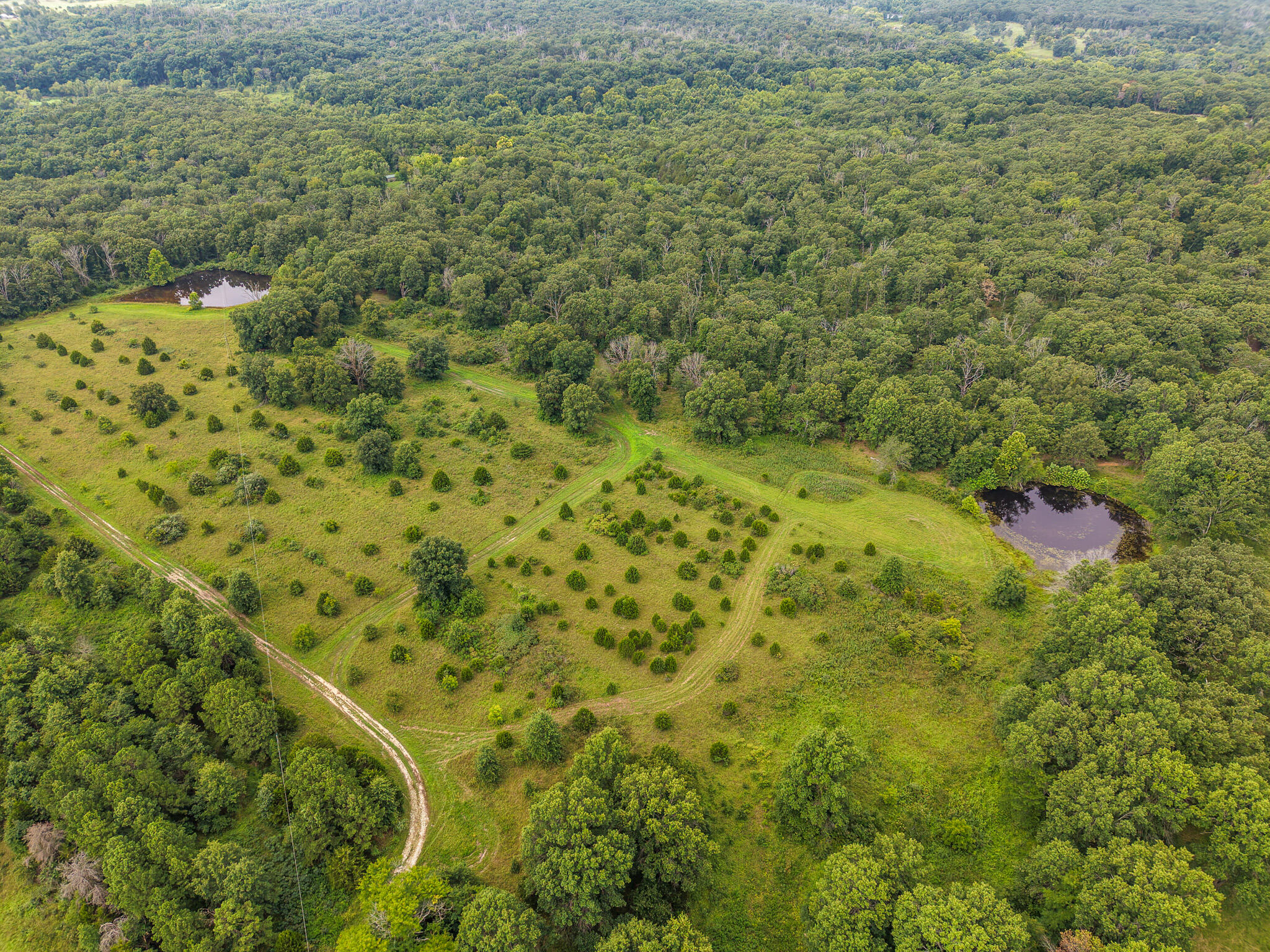 0000 Northeast 251 Road Property Photo 69
