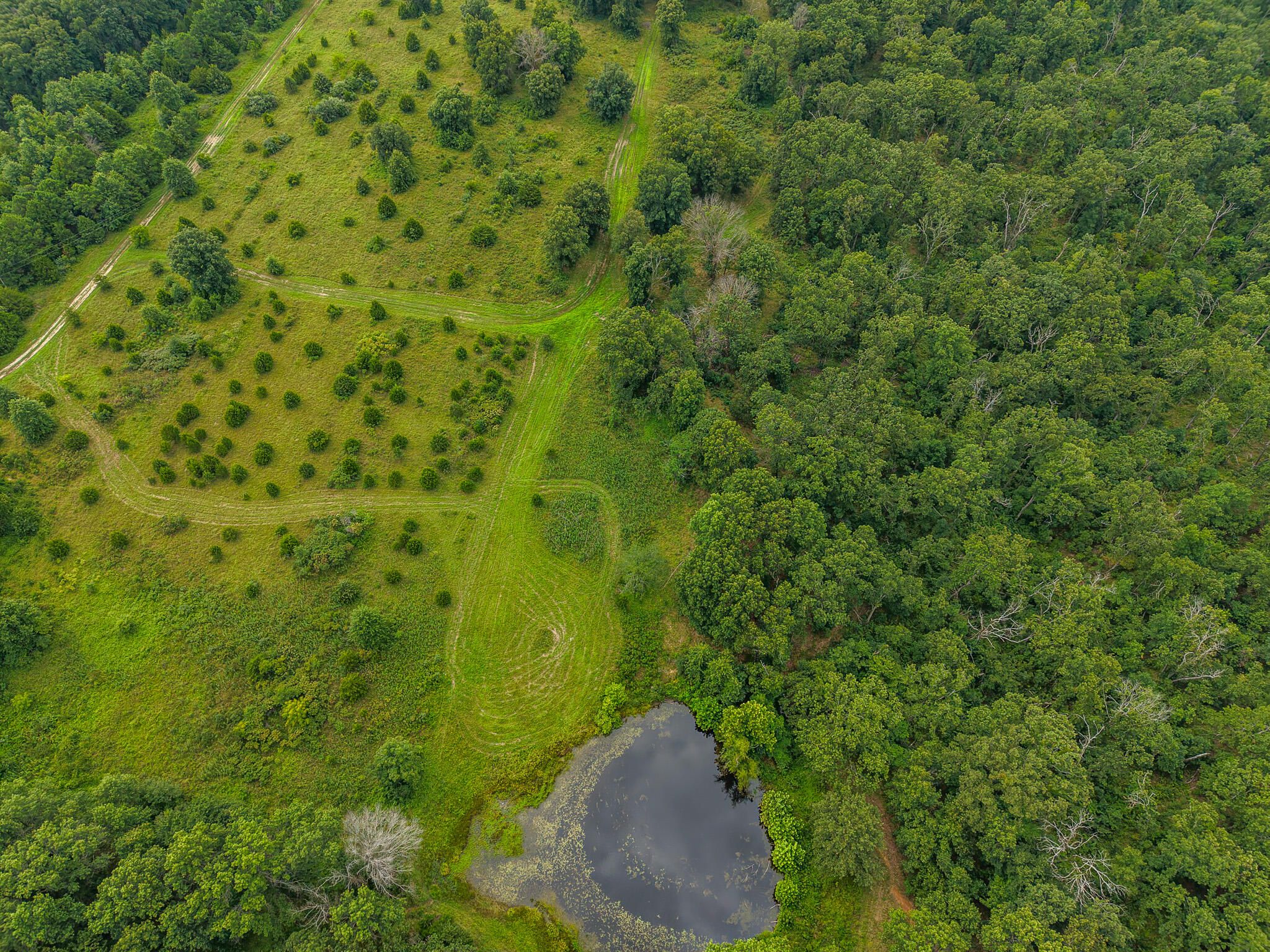 0000 Northeast 251 Road Property Photo 83