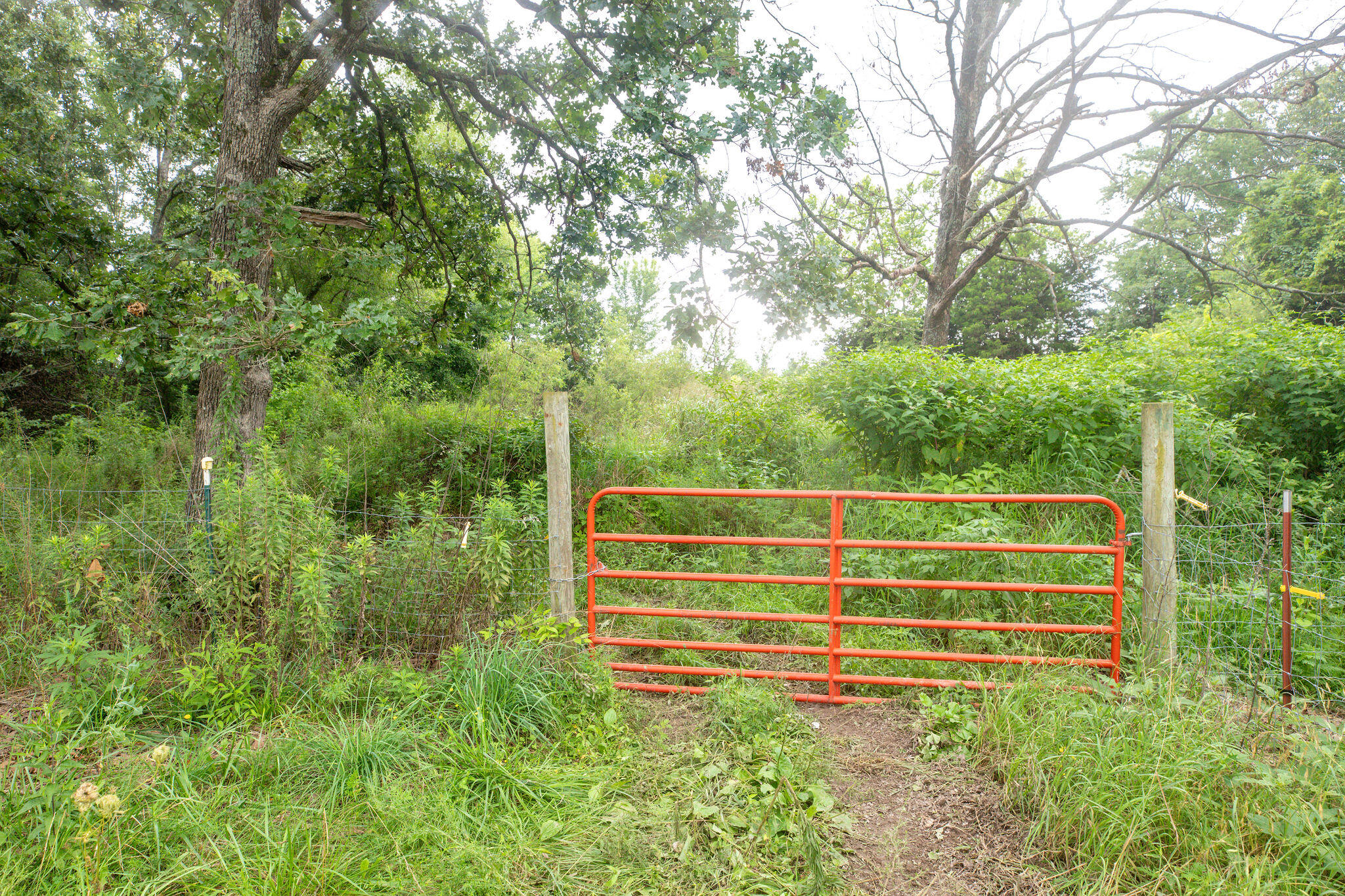 551 Hidden Pond Drive Property Photo 18