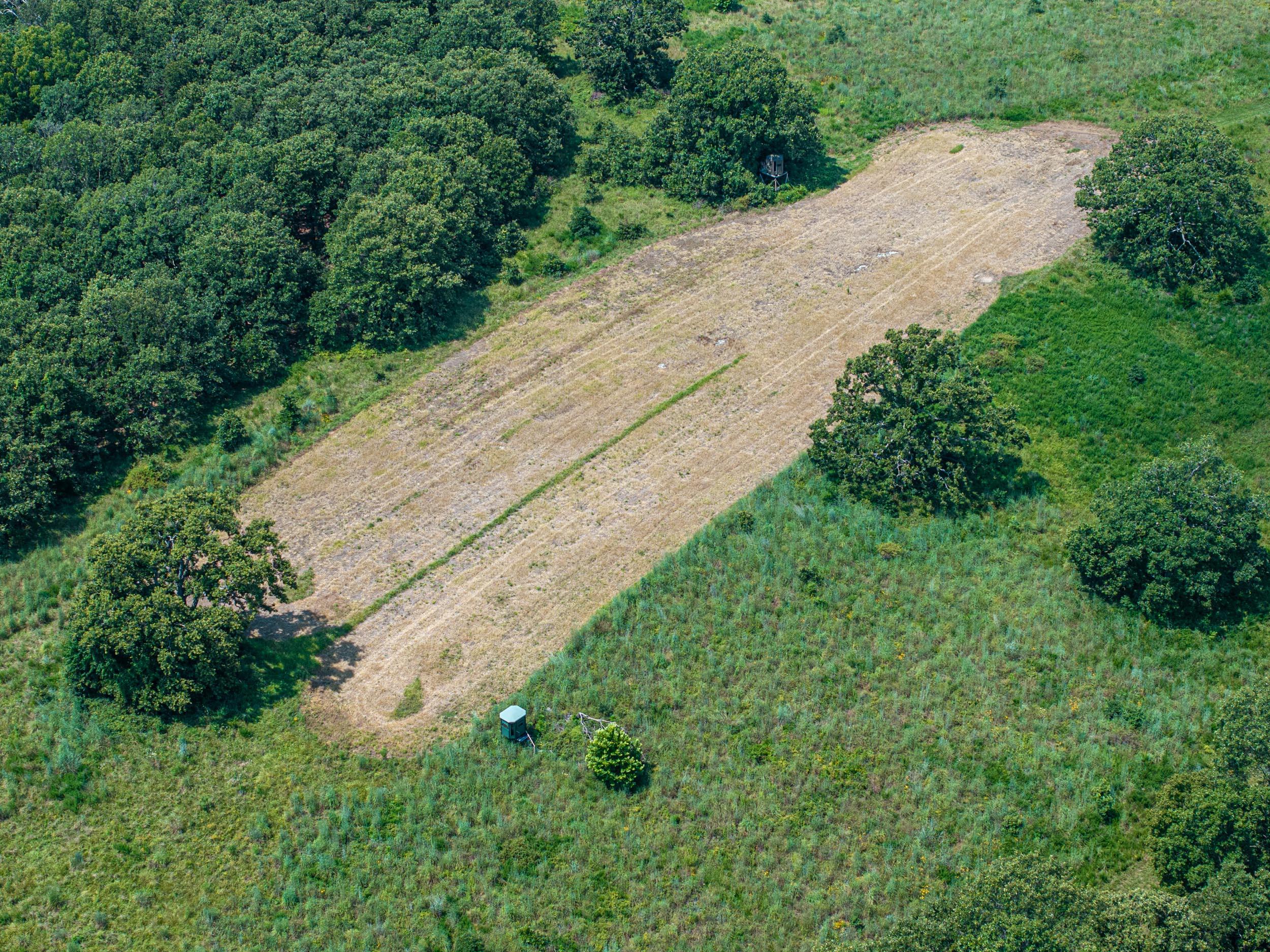 5565 State Hwy B Property Photo 39