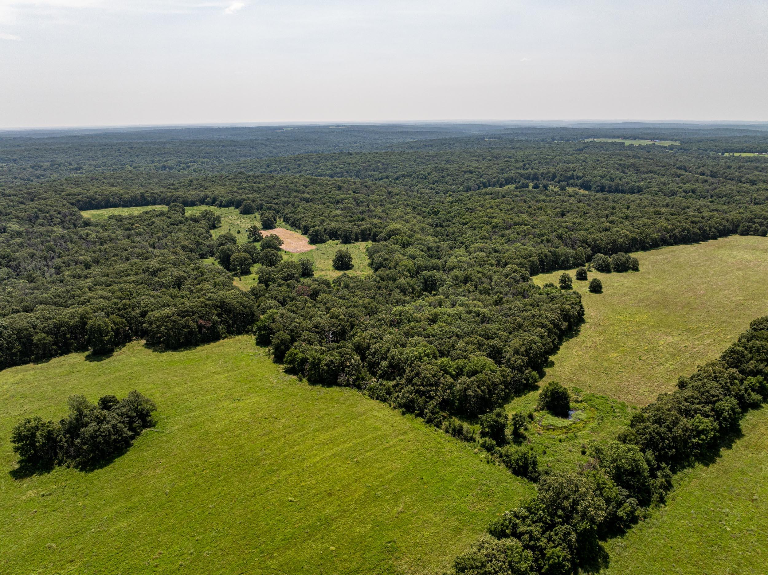 5565 State Hwy B Property Photo 40