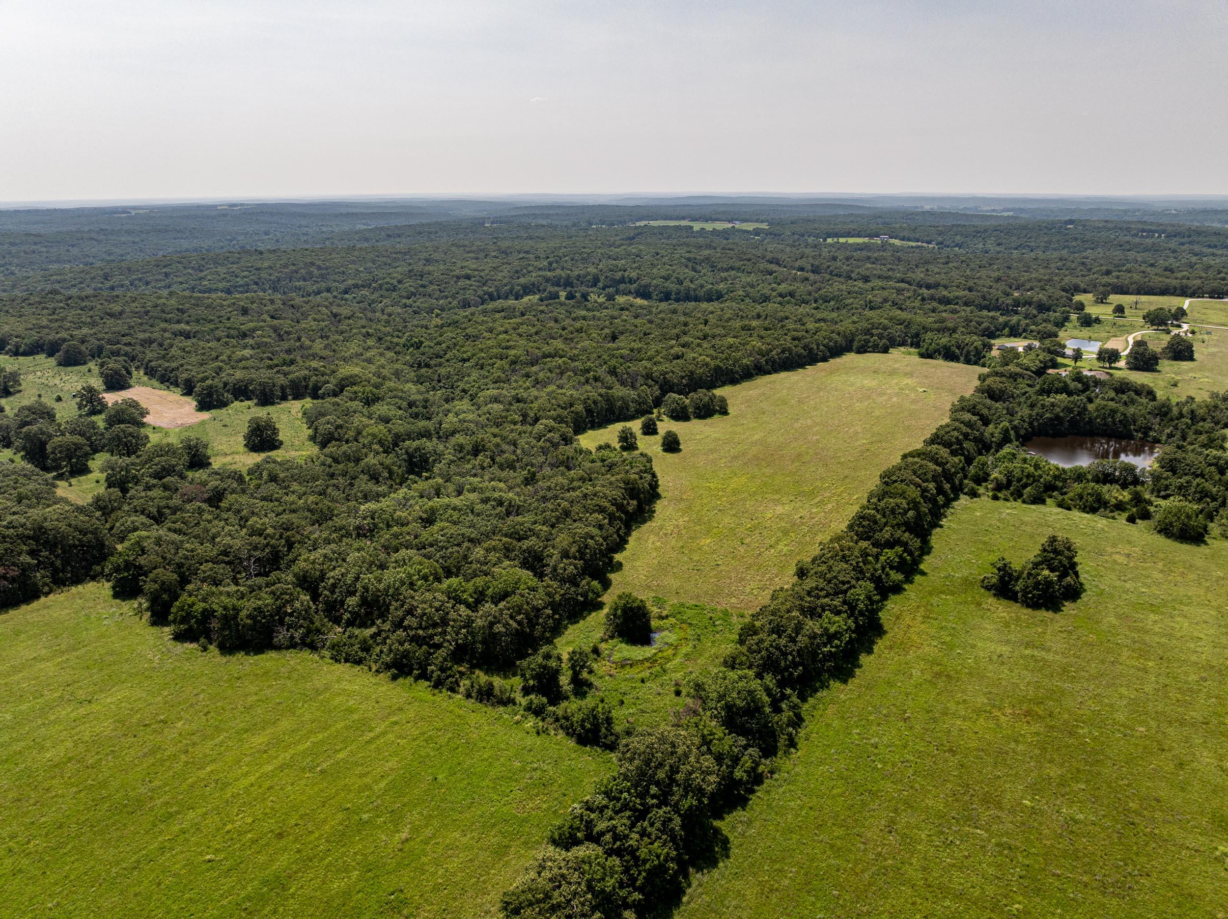 5565 State Hwy B Property Photo 41