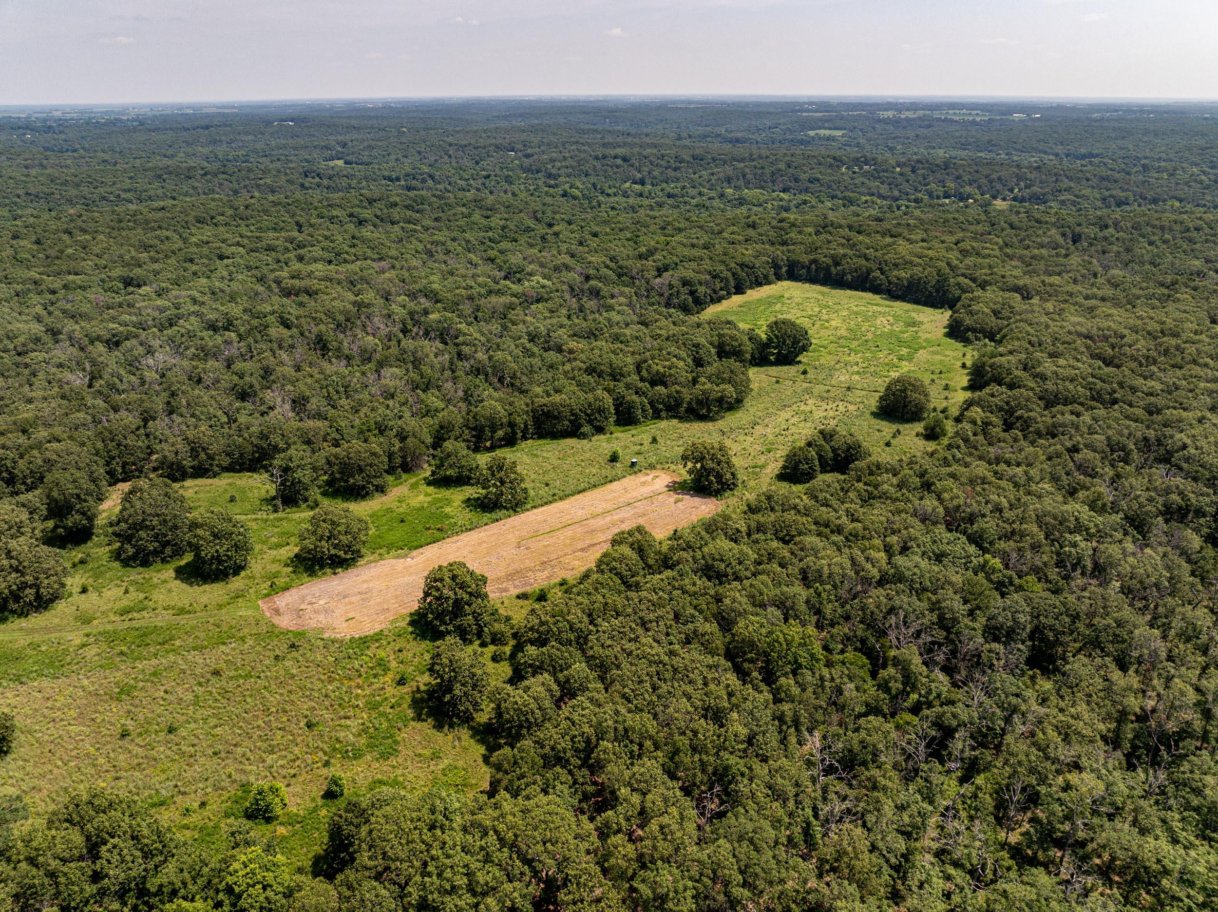 5565 State Hwy B Property Photo 45