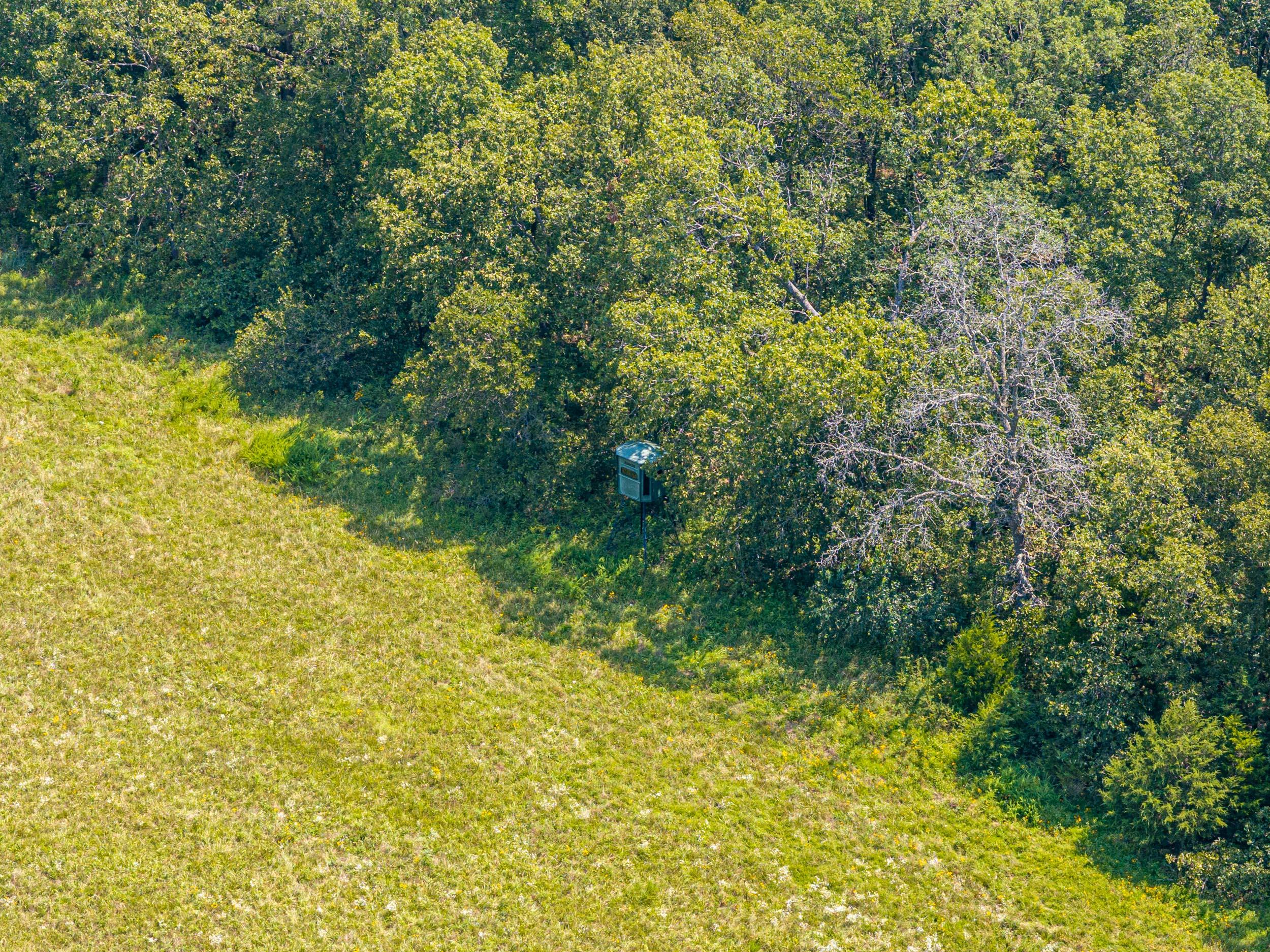 5565 State Hwy B Property Photo 47