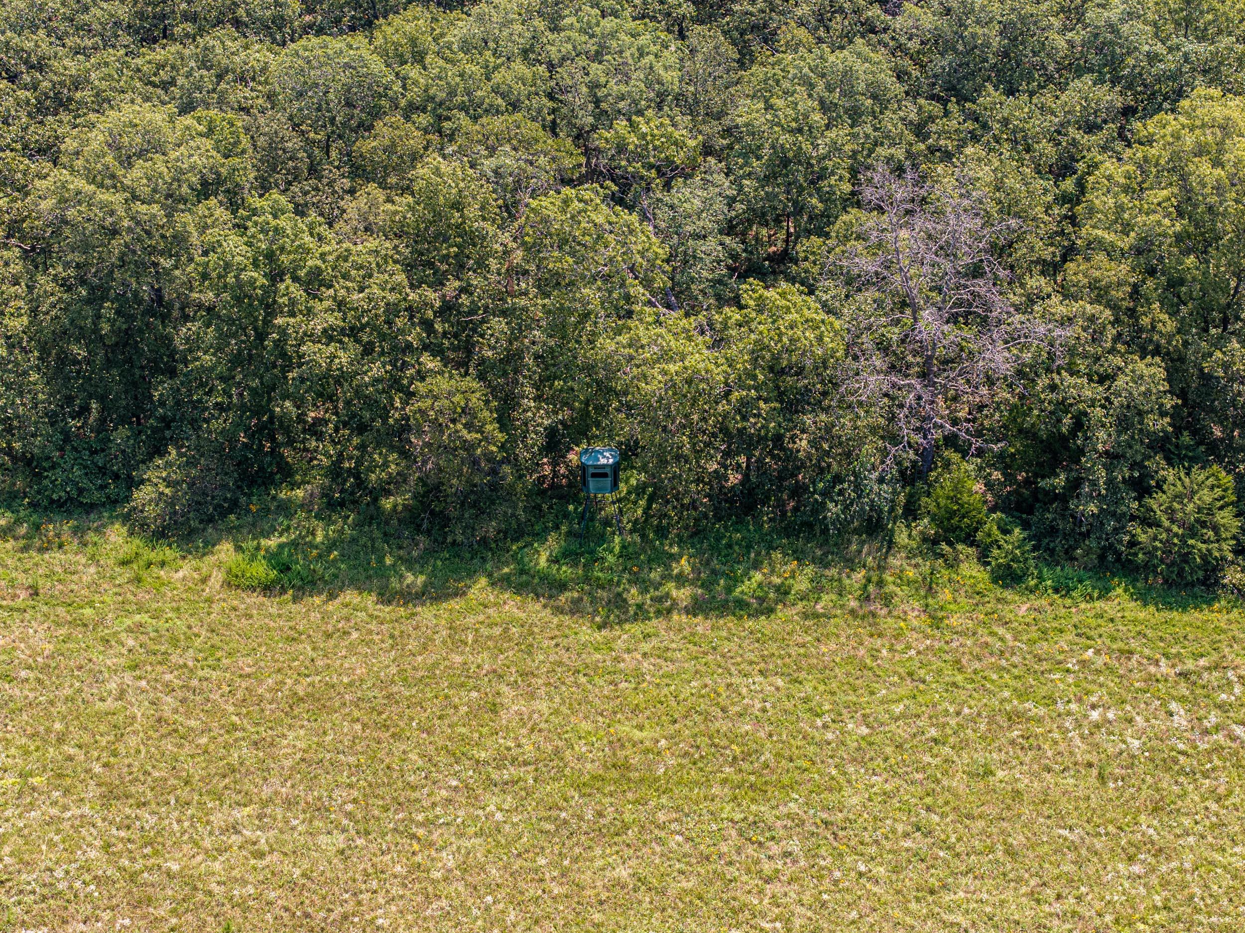 5565 State Hwy B Property Photo 48