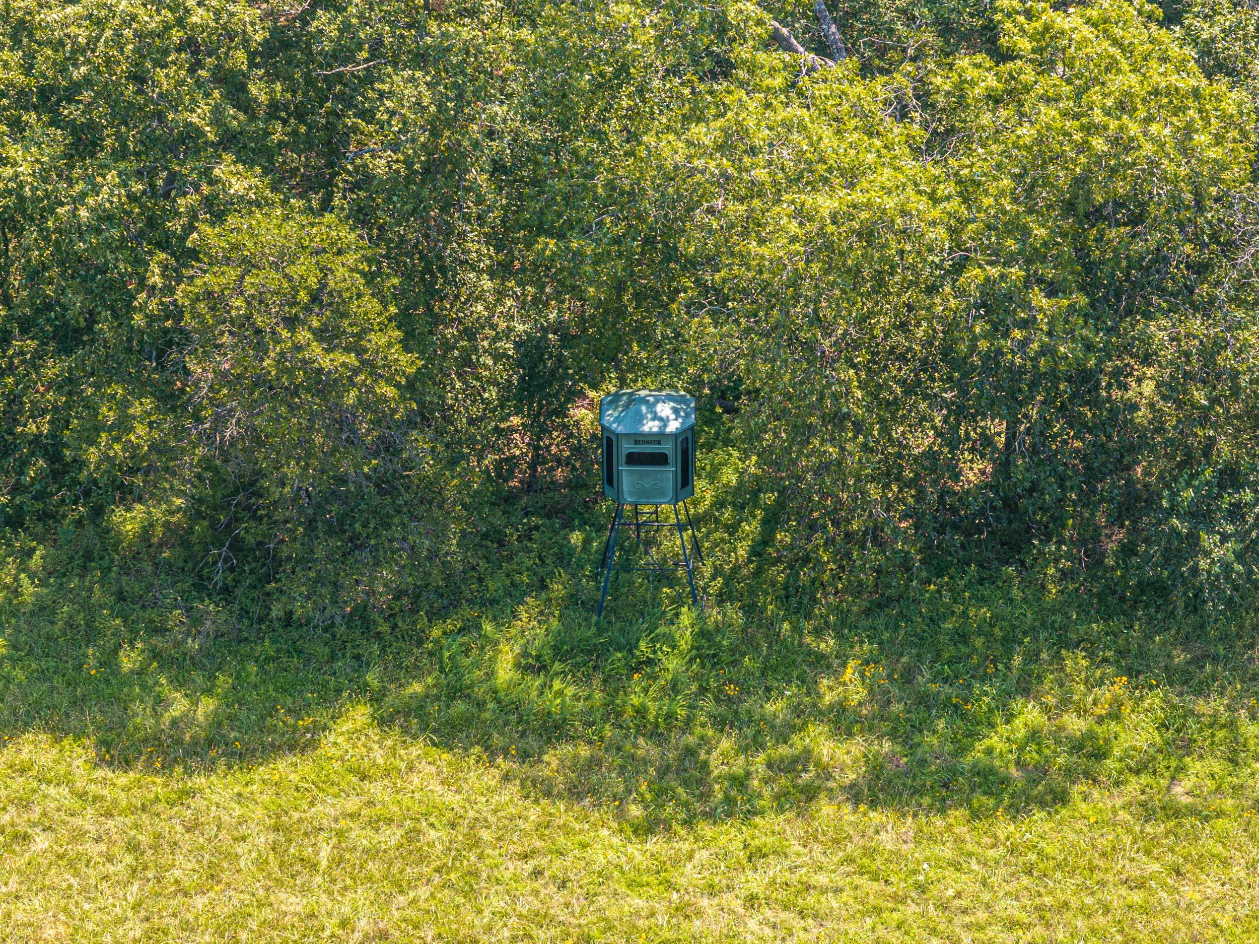 5565 State Hwy B Property Photo 49