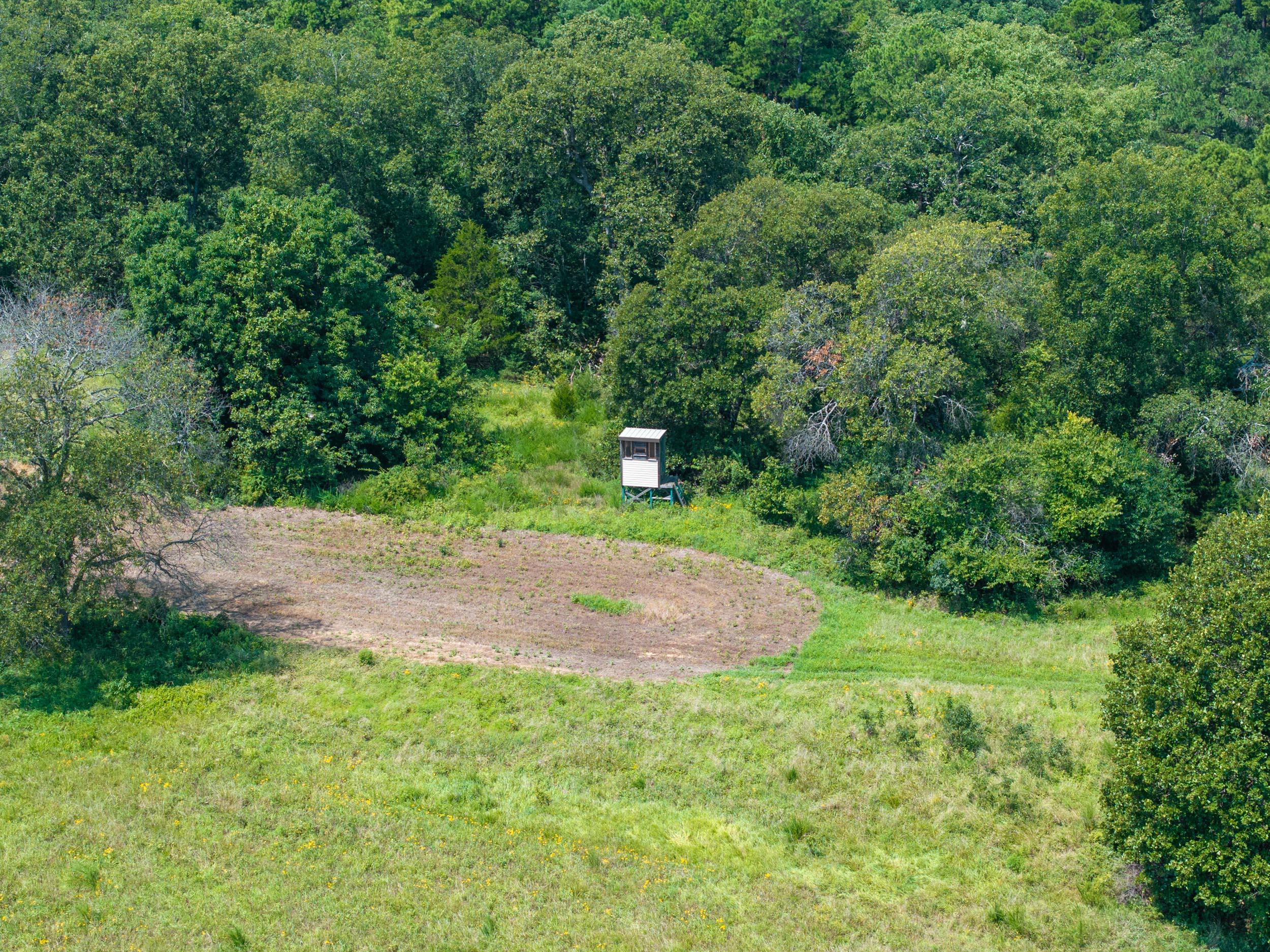 5565 State Hwy B Property Photo 51