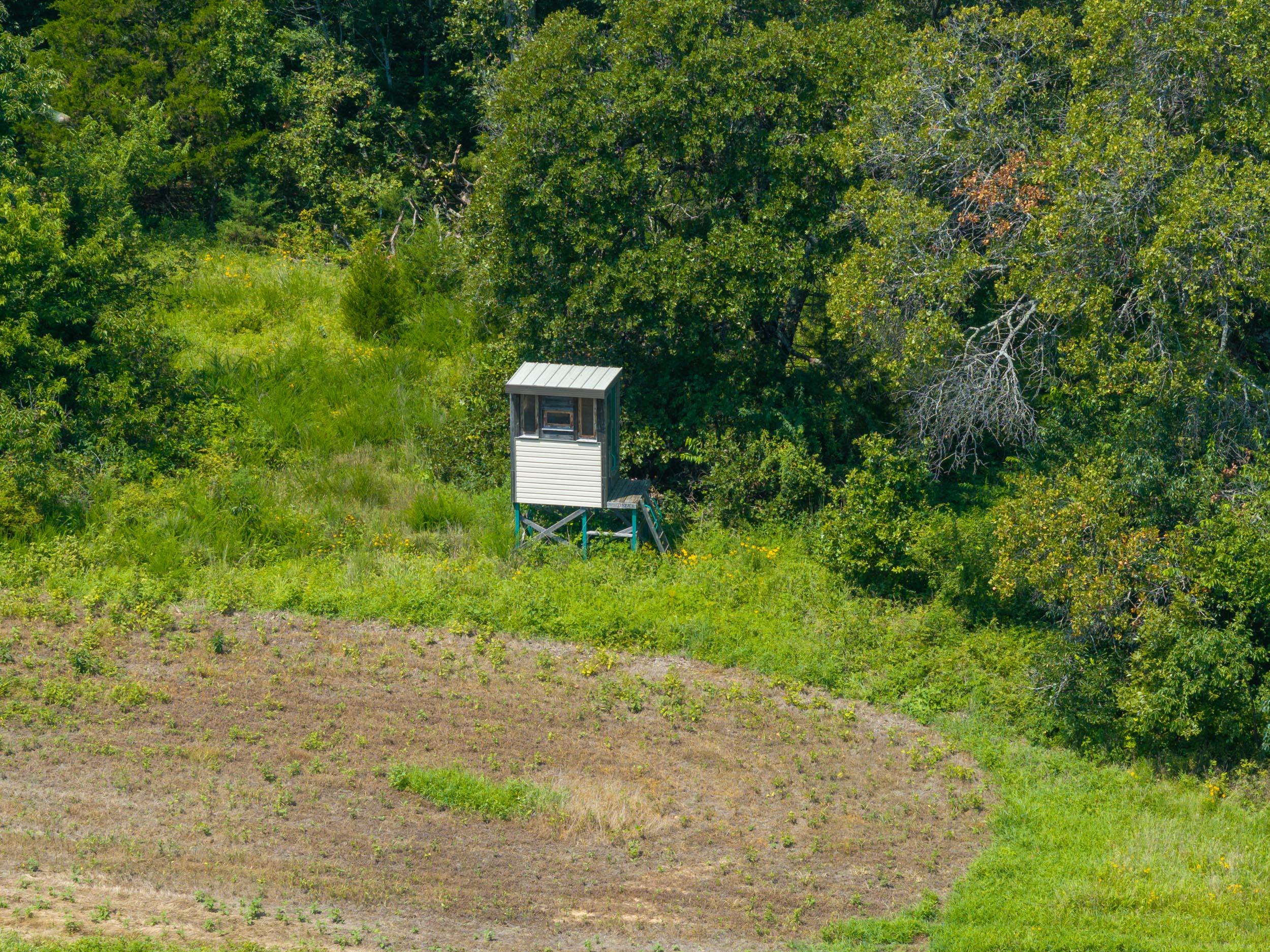 5565 State Hwy B Property Photo 52