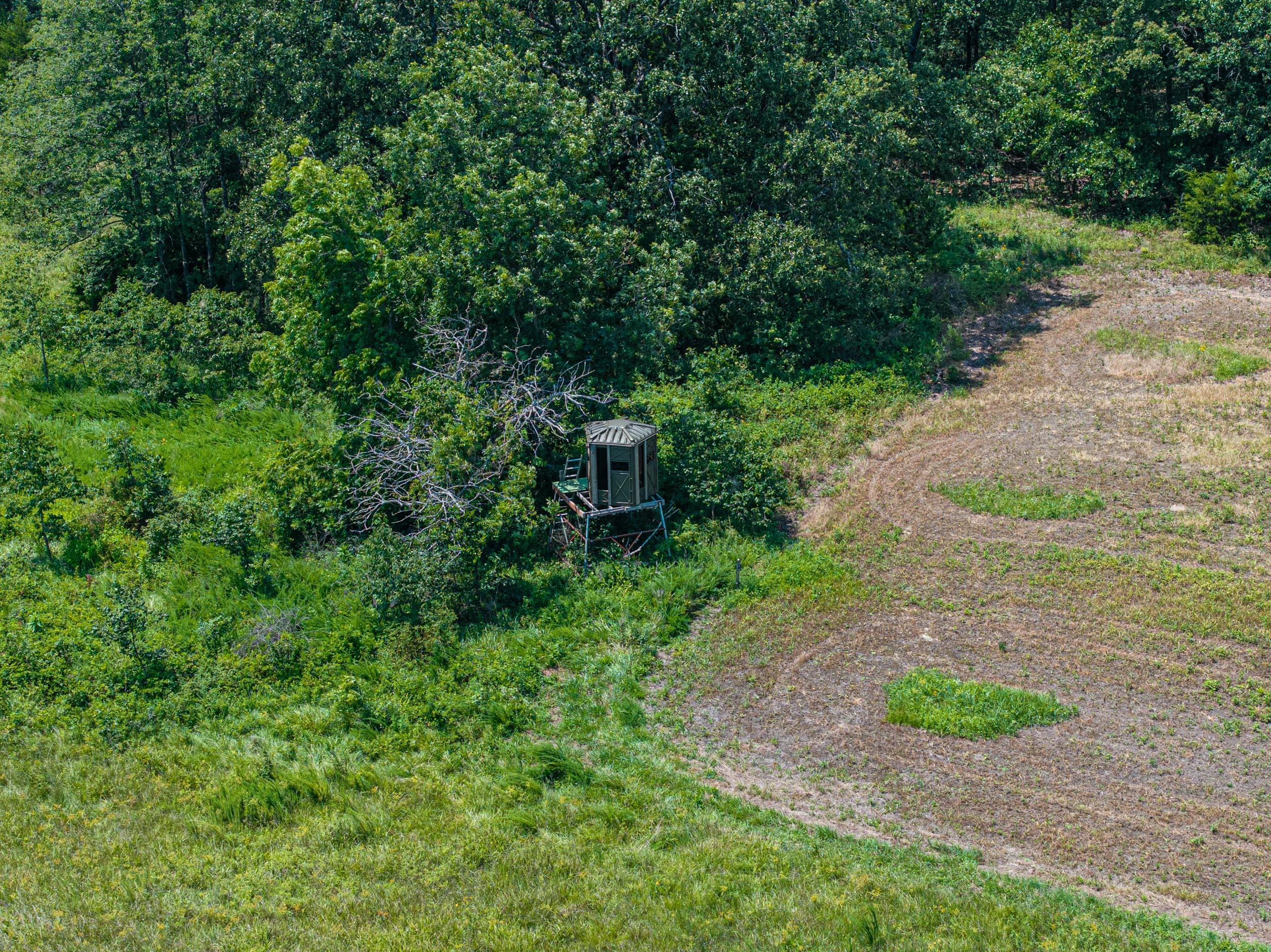 5565 State Hwy B Property Photo 63