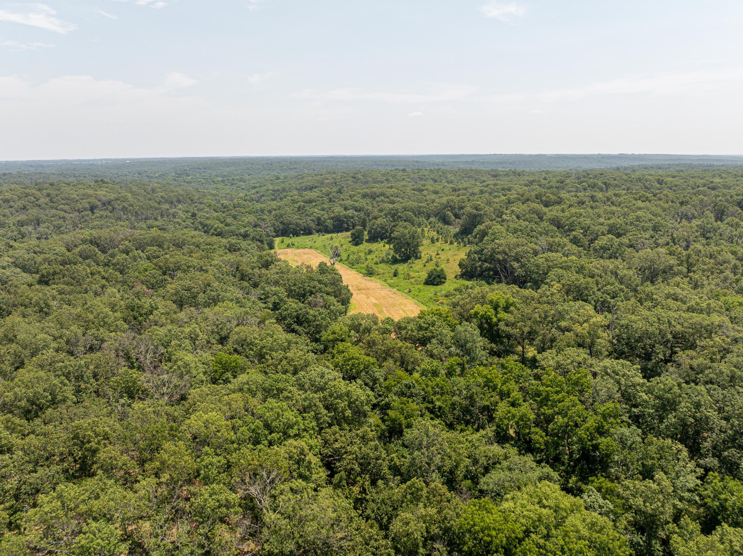 5565 State Hwy B Property Photo 64