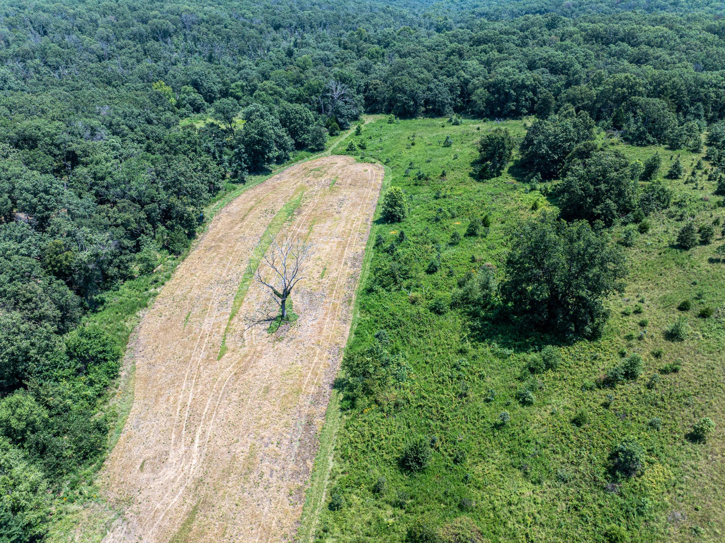 5565 State Hwy B Property Photo 66