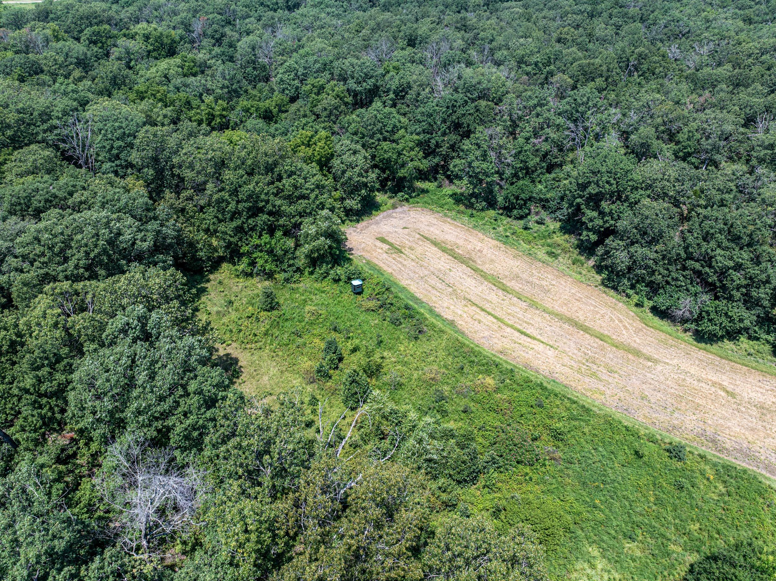 5565 State Hwy B Property Photo 67