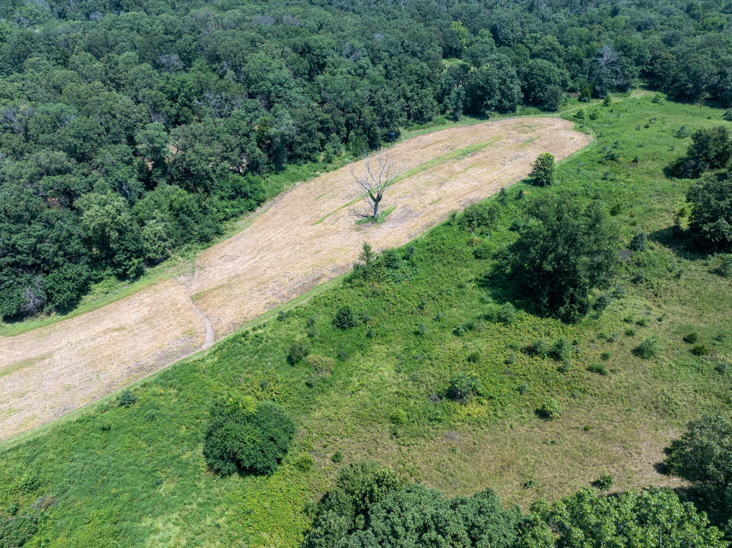 5565 State Hwy B Property Photo 68