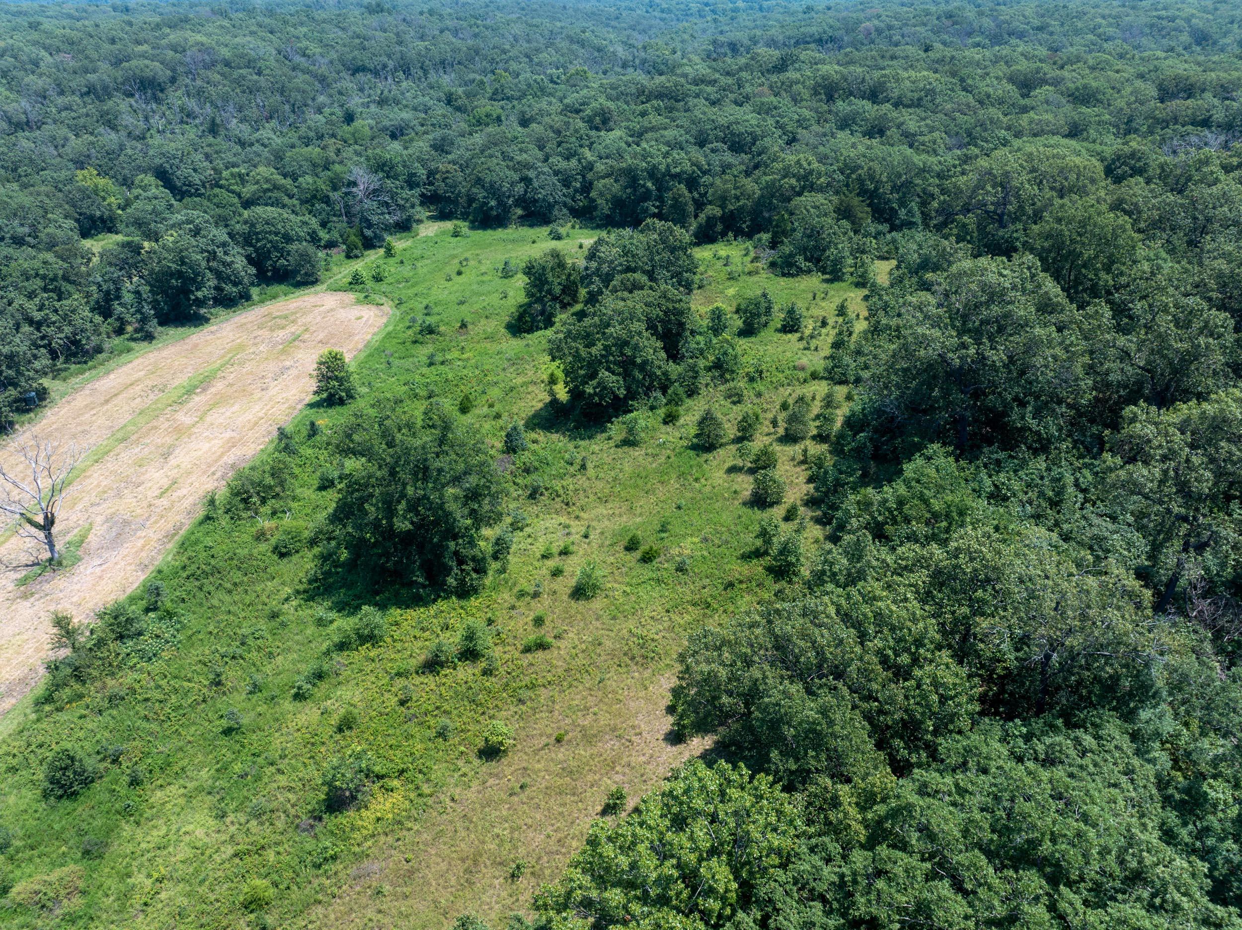 5565 State Hwy B Property Photo 69