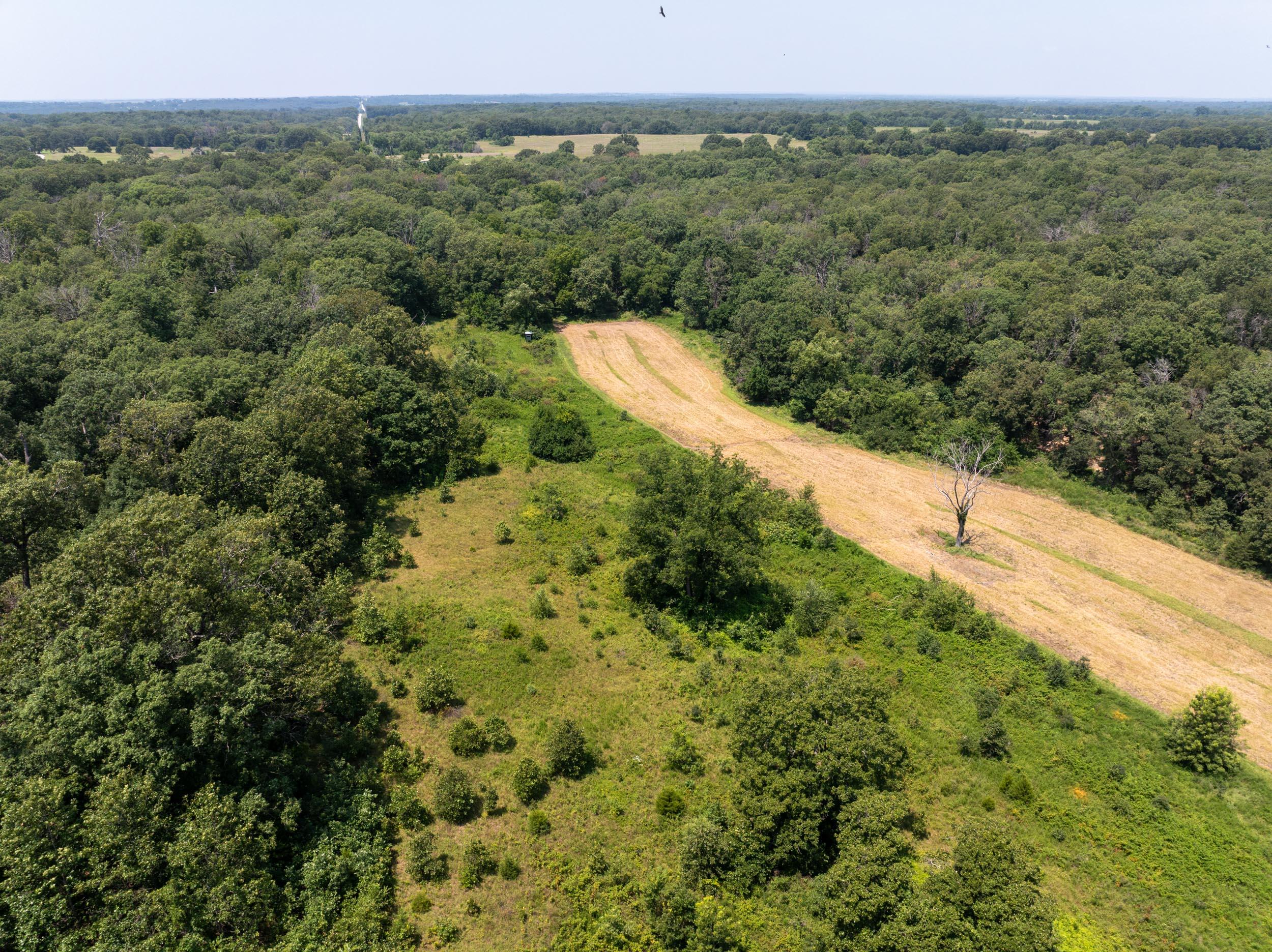 5565 State Hwy B Property Photo 70