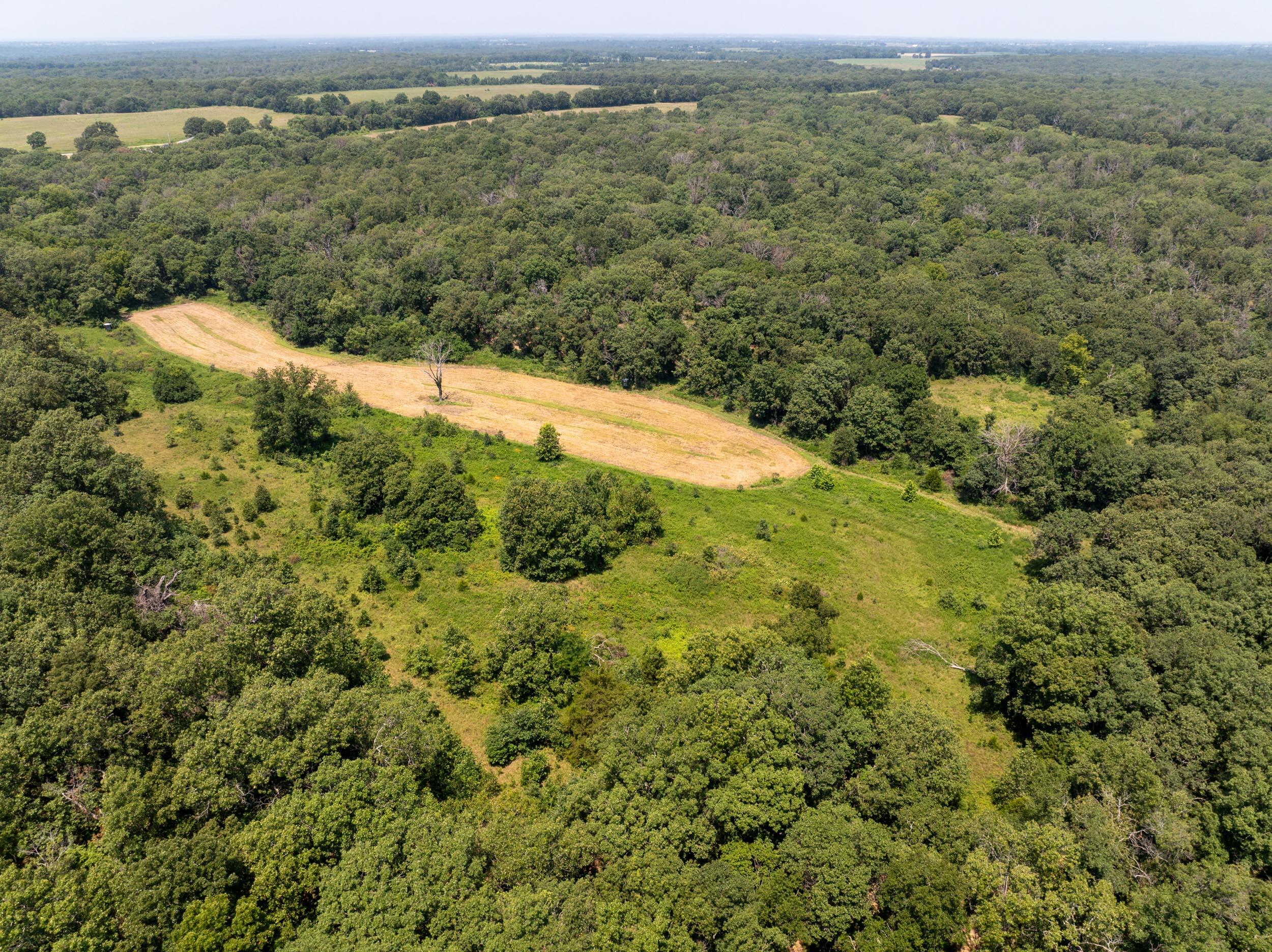5565 State Hwy B Property Photo 71