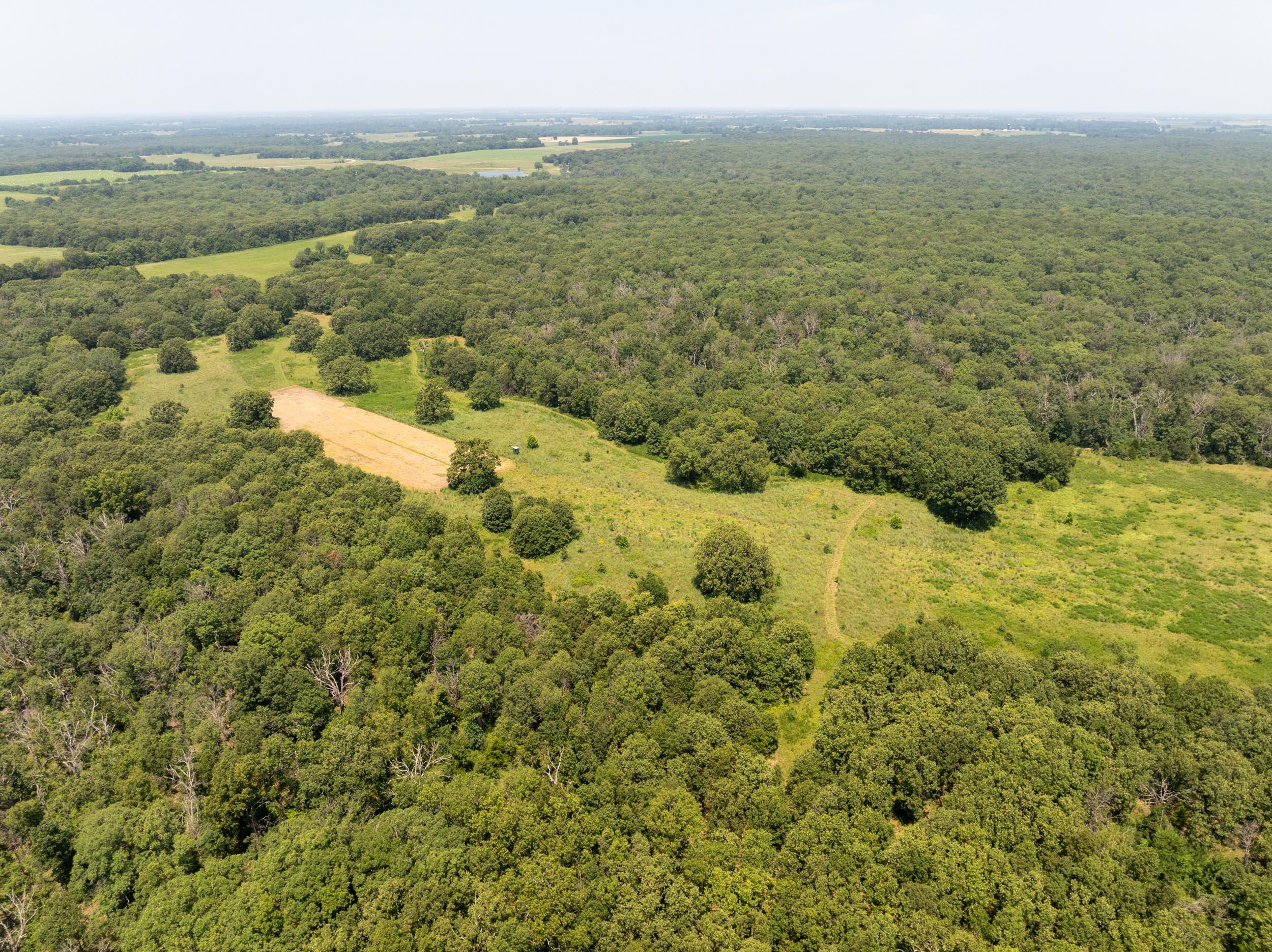 5565 State Hwy B Property Photo 73