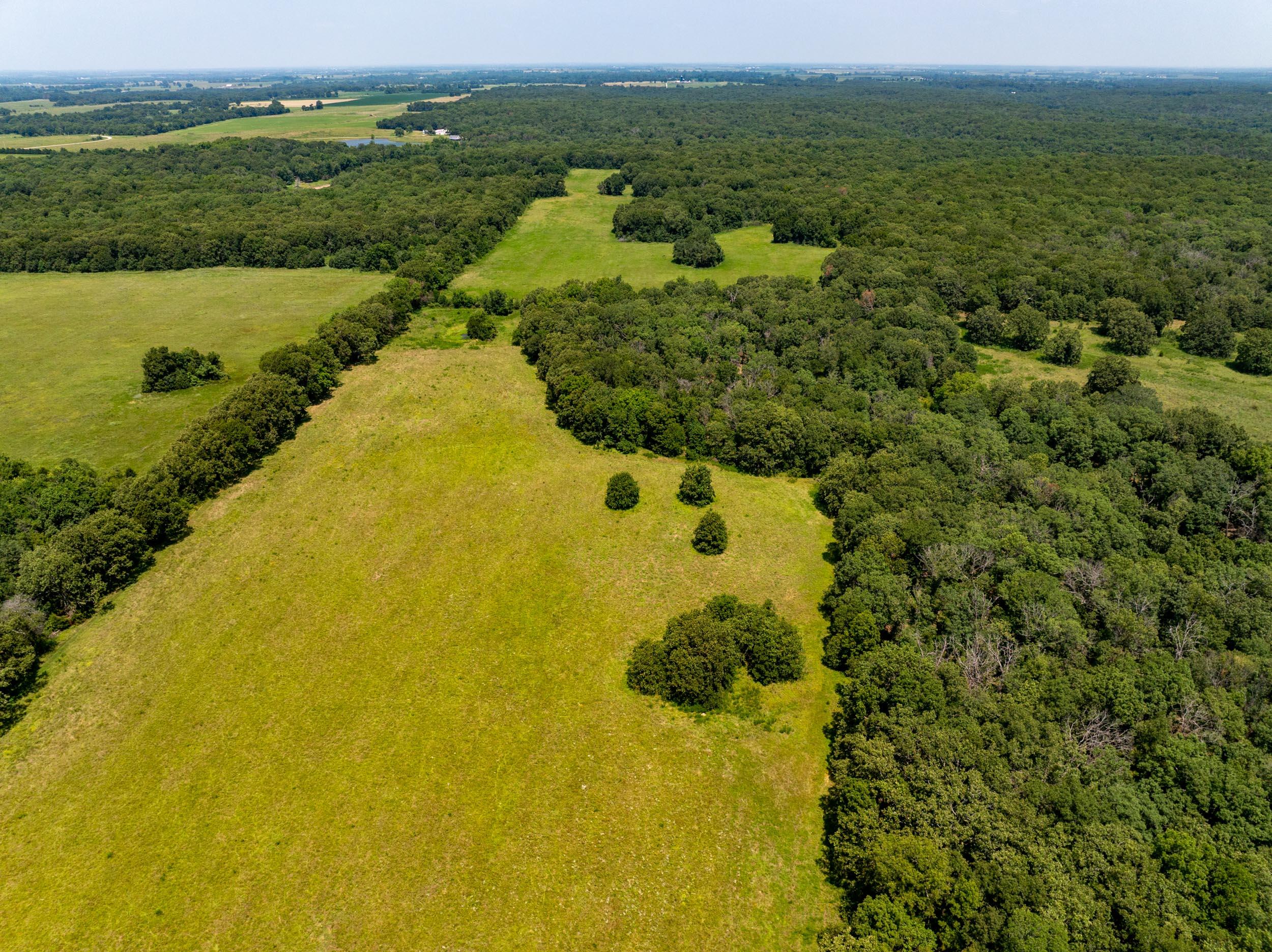 5565 State Hwy B Property Photo 74