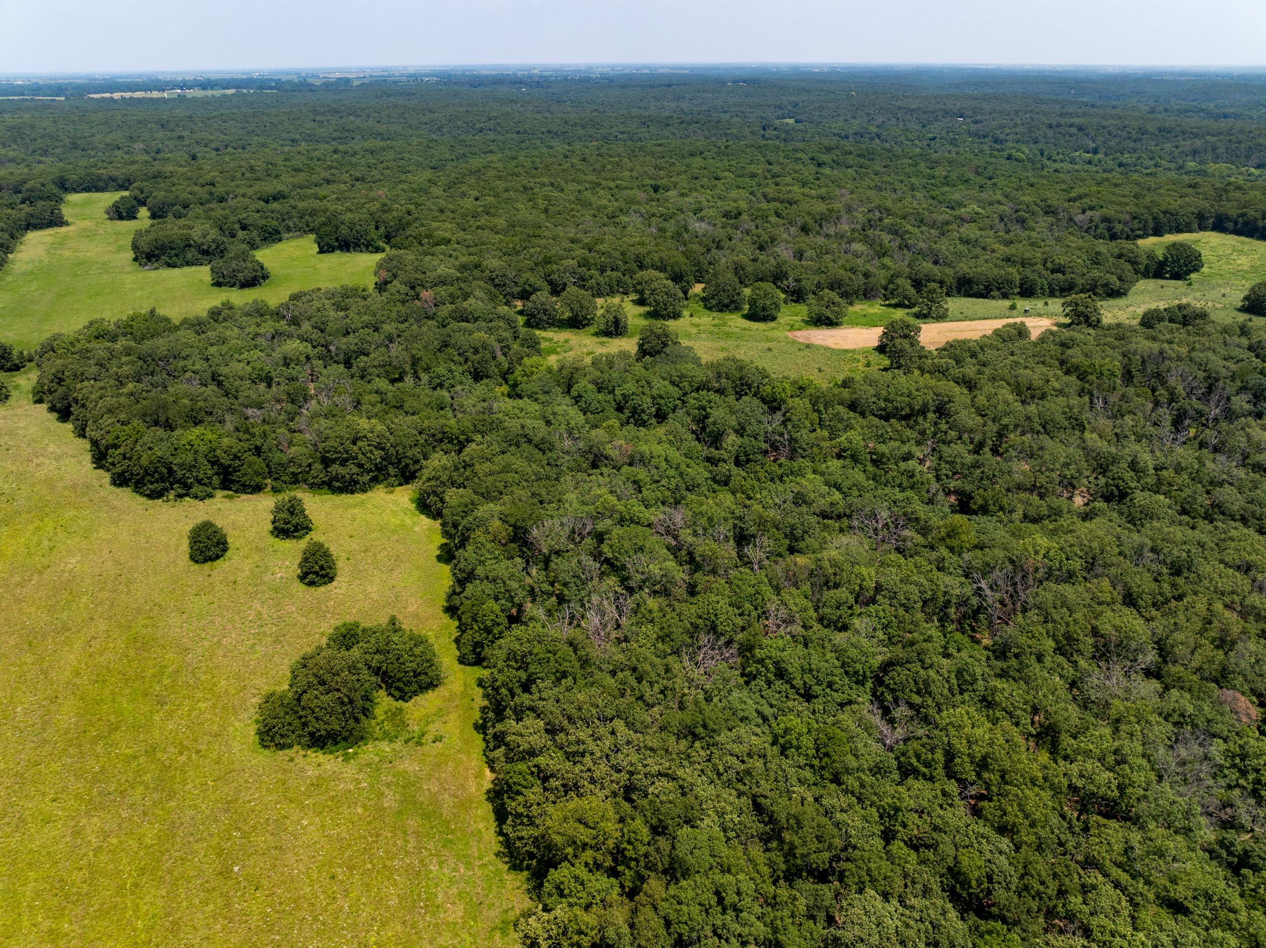 5565 State Hwy B Property Photo 75