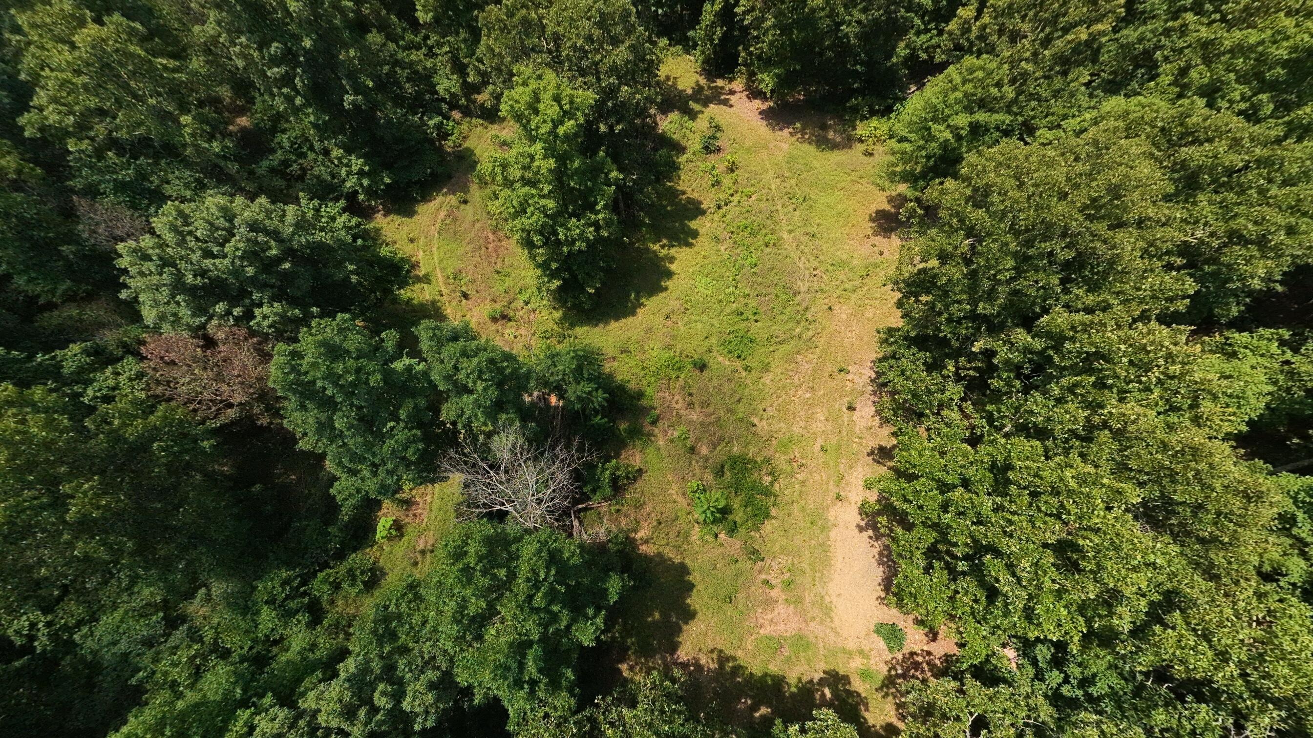 Tract 4 Upper Janes Creek Road Property Photo 3