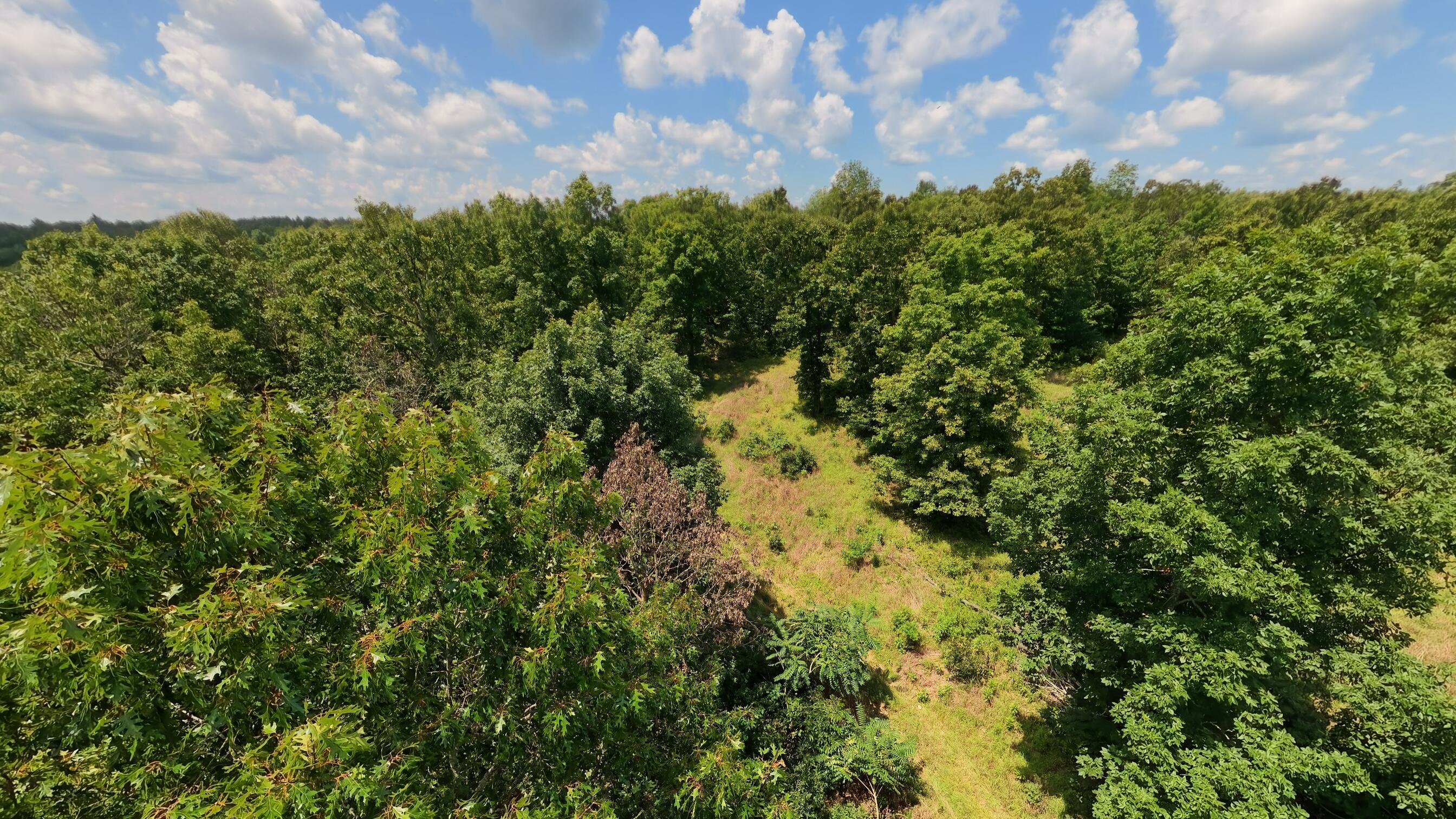 Tract 4 Upper Janes Creek Road Property Photo 5
