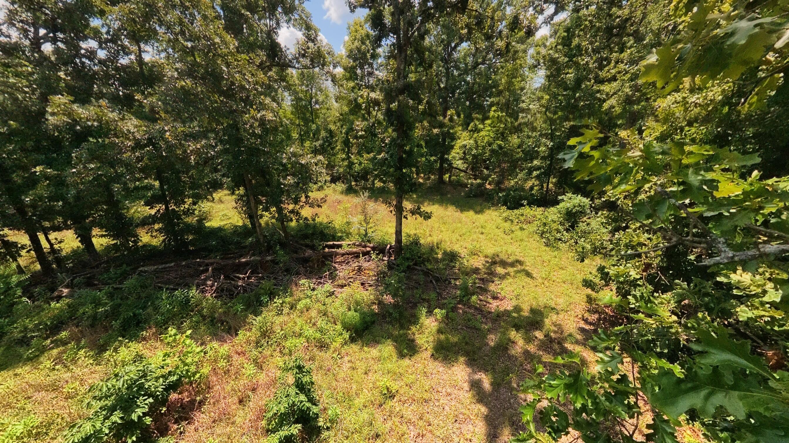 Tract 4 Upper Janes Creek Road Property Photo 8