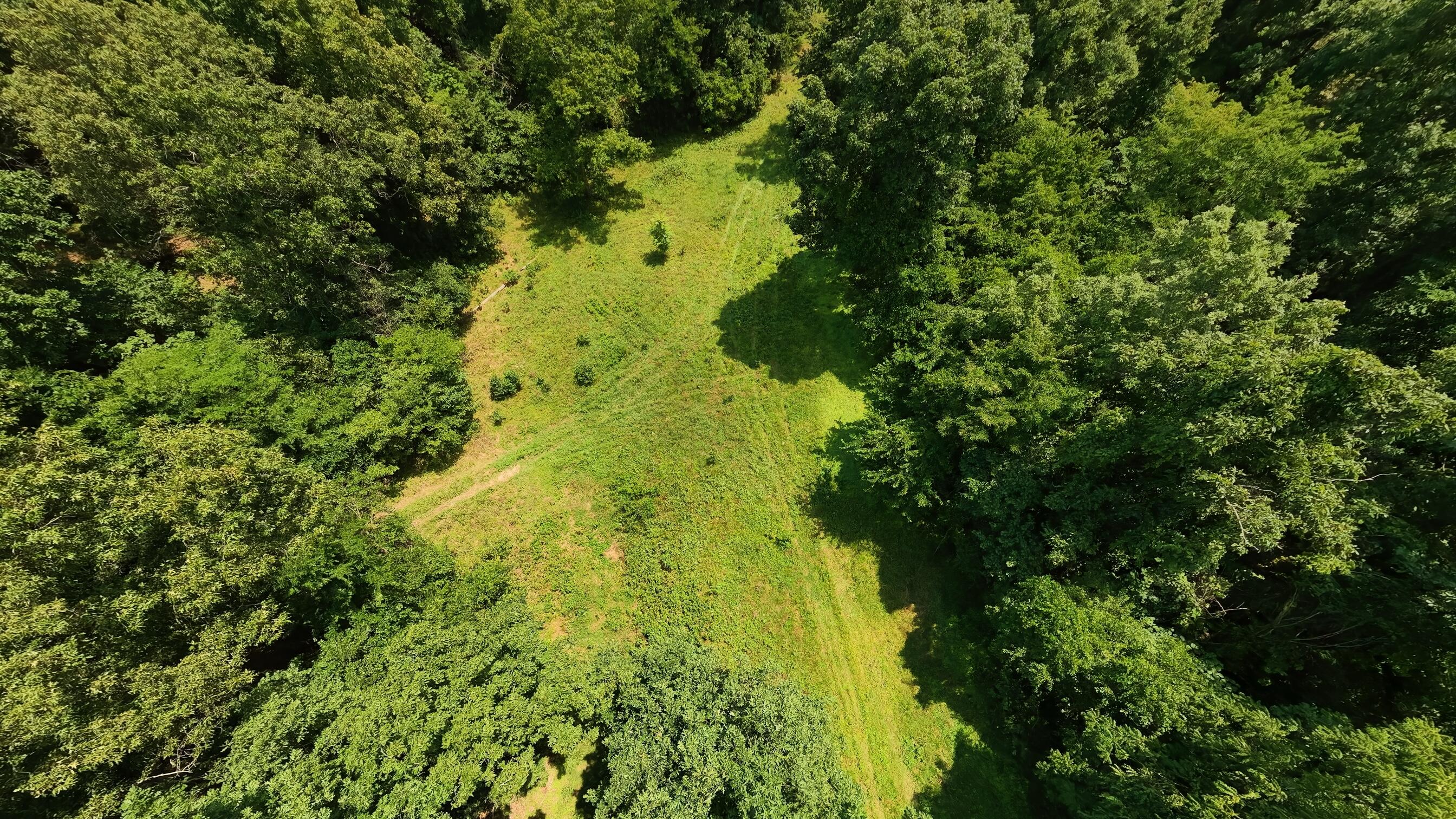 Tract 4 Upper Janes Creek Road Property Photo 10