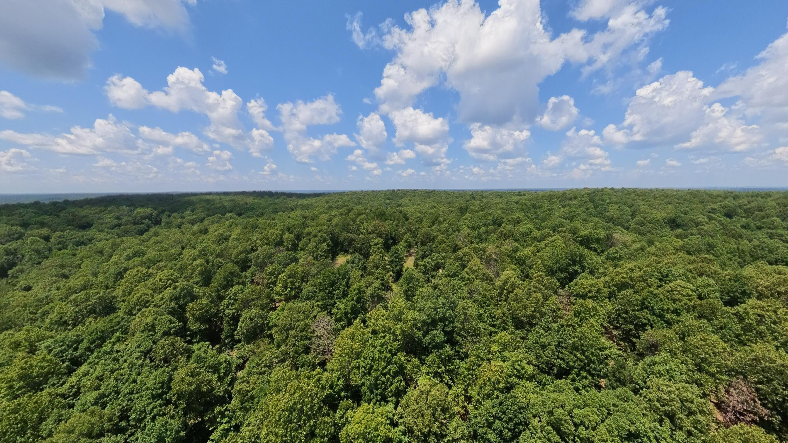 Tract 4 Upper Janes Creek Road Property Photo 15