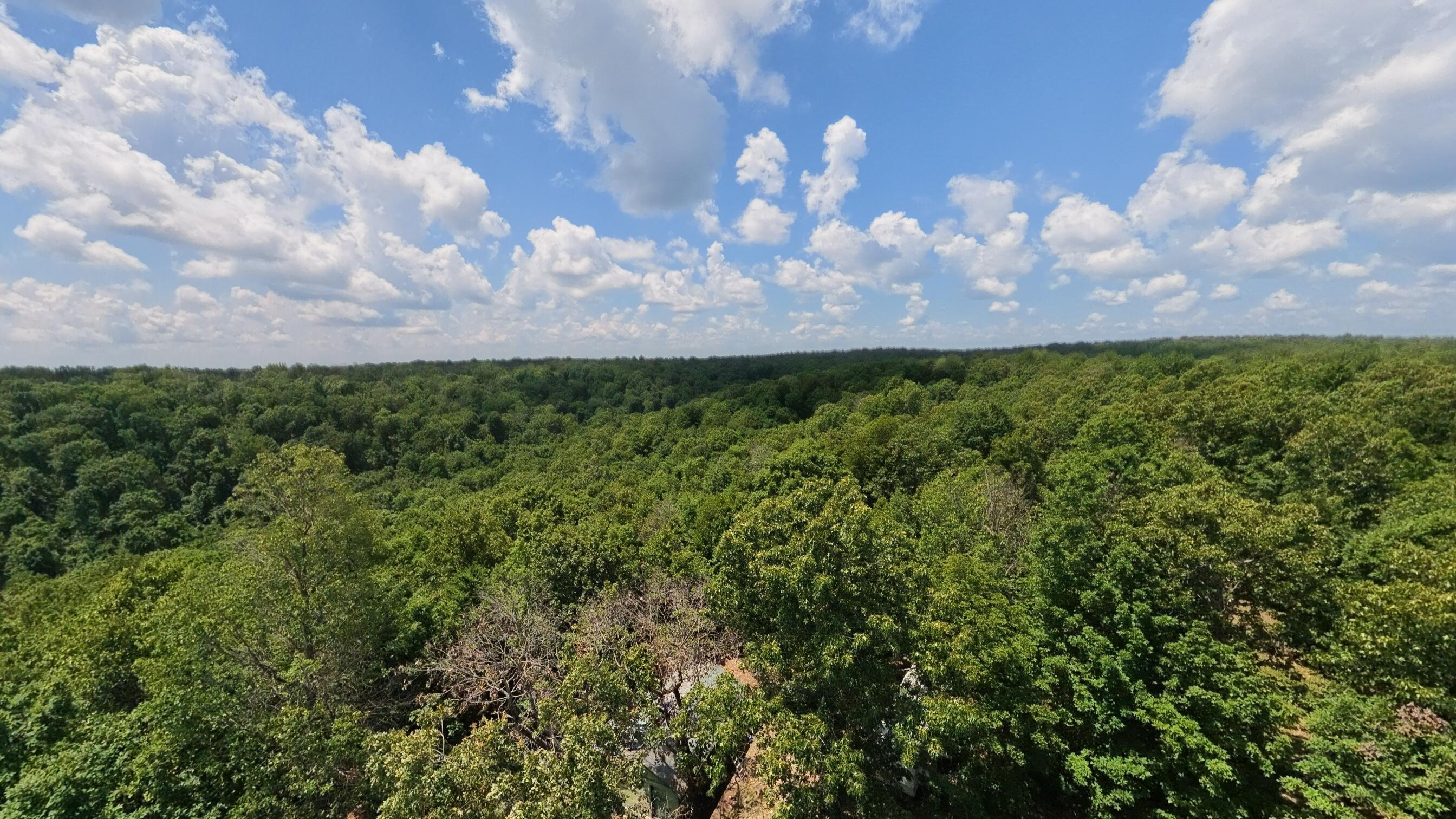 Tract 4 Upper Janes Creek Road Property Photo 18