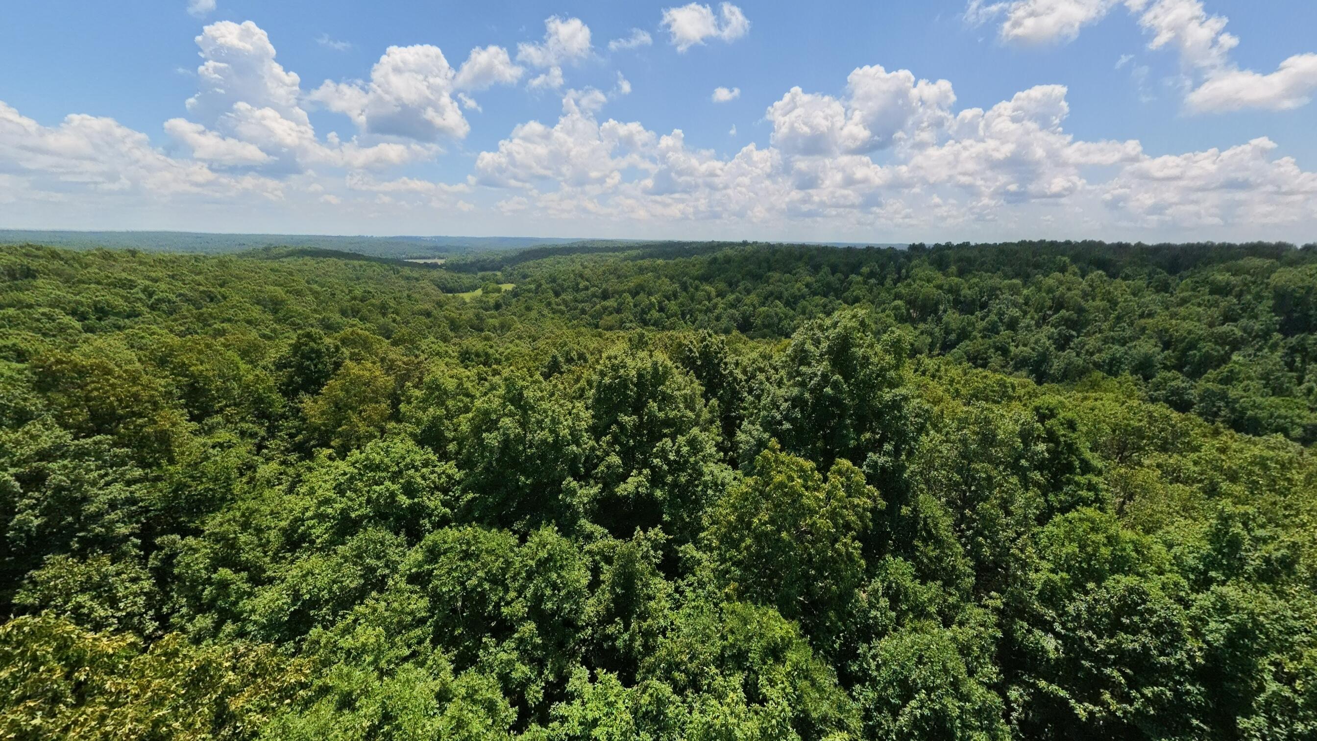 Tract 4 Upper Janes Creek Road Property Photo 19