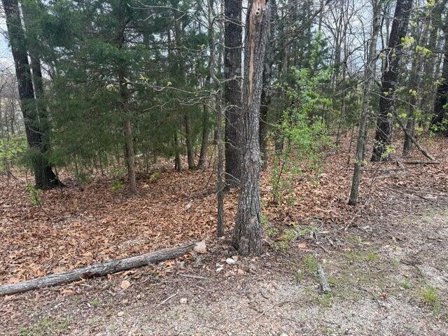 000 Entry Road Lot 11-12 Property Photo 6