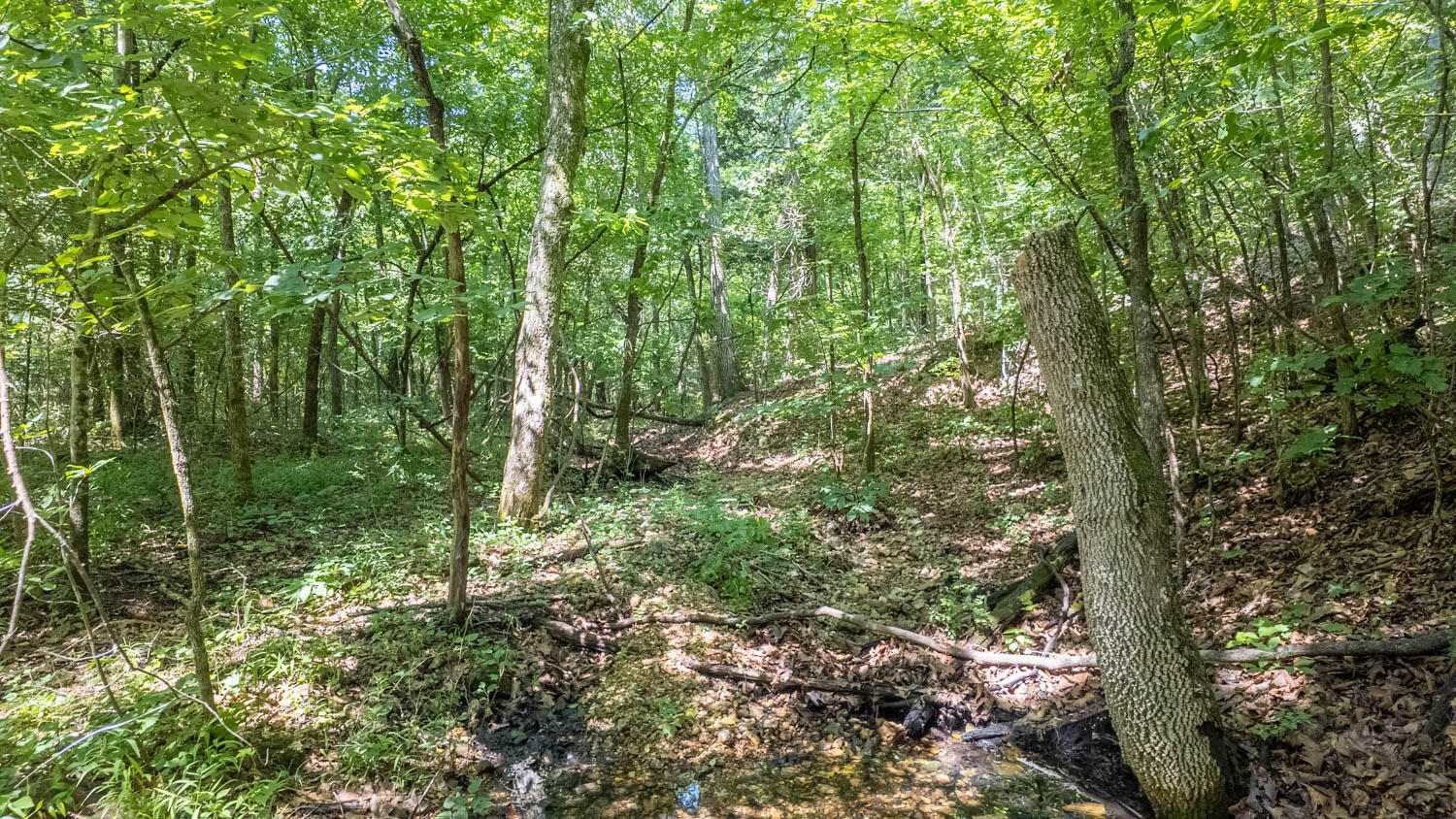 Tract 3 Upper Janes Creek Road Property Photo 3