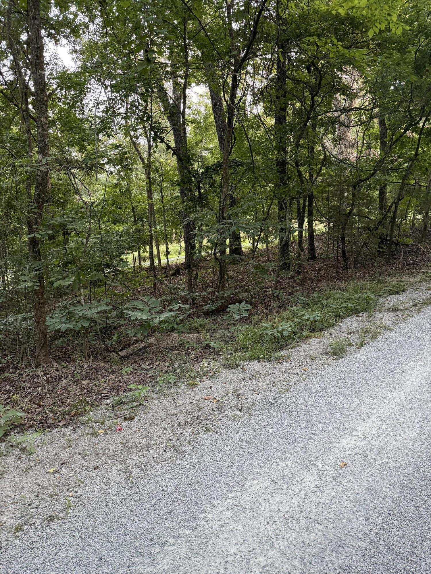 Tbd Chiefs Lane Property Photo 1