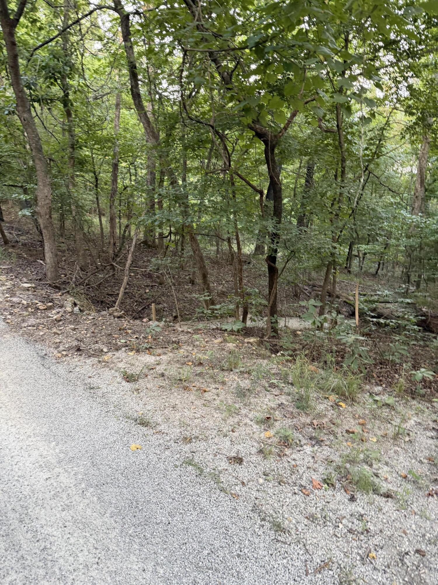Tbd Chiefs Lane Property Photo 2