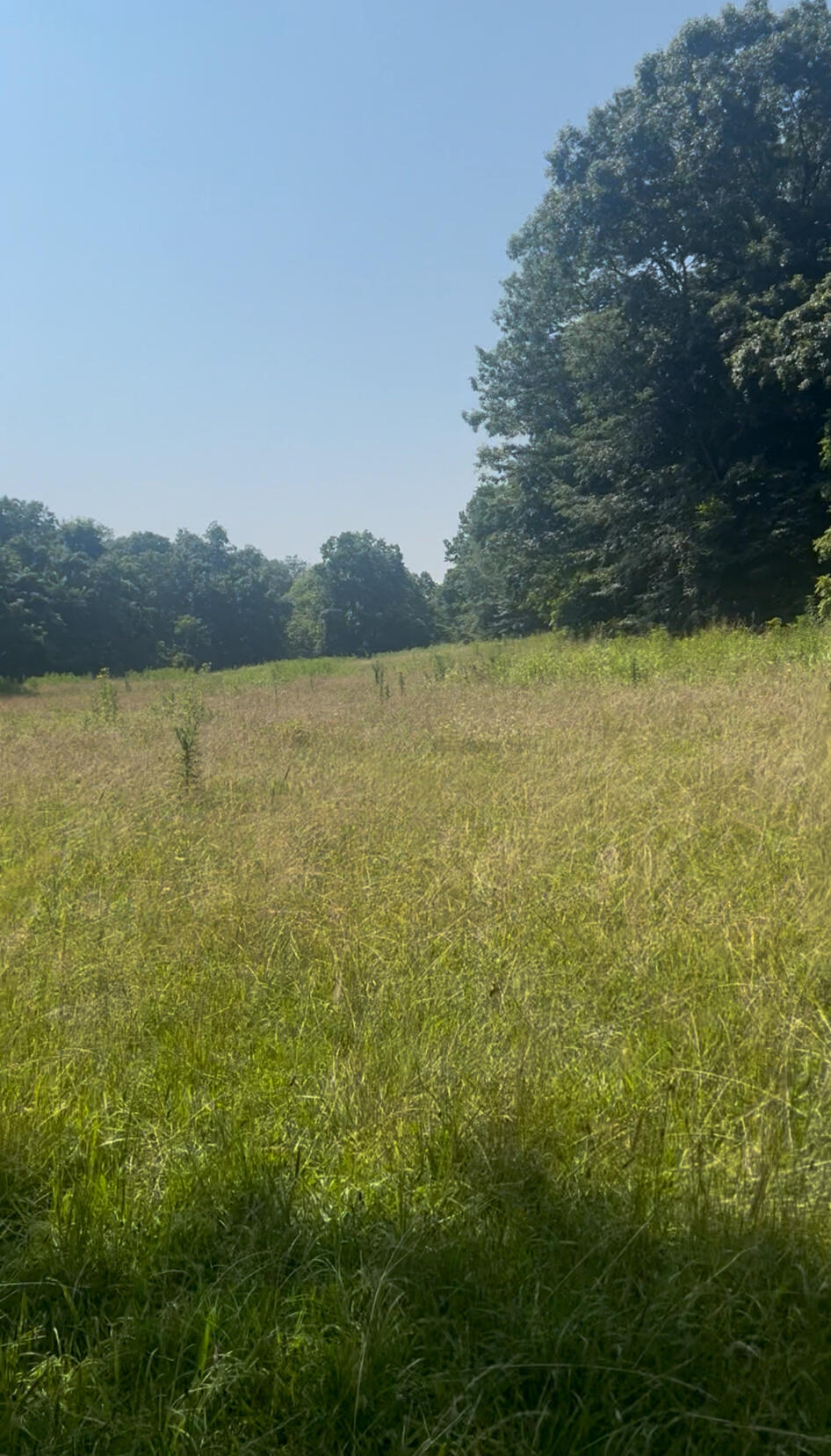 000 Green Hill Road Property Photo 19