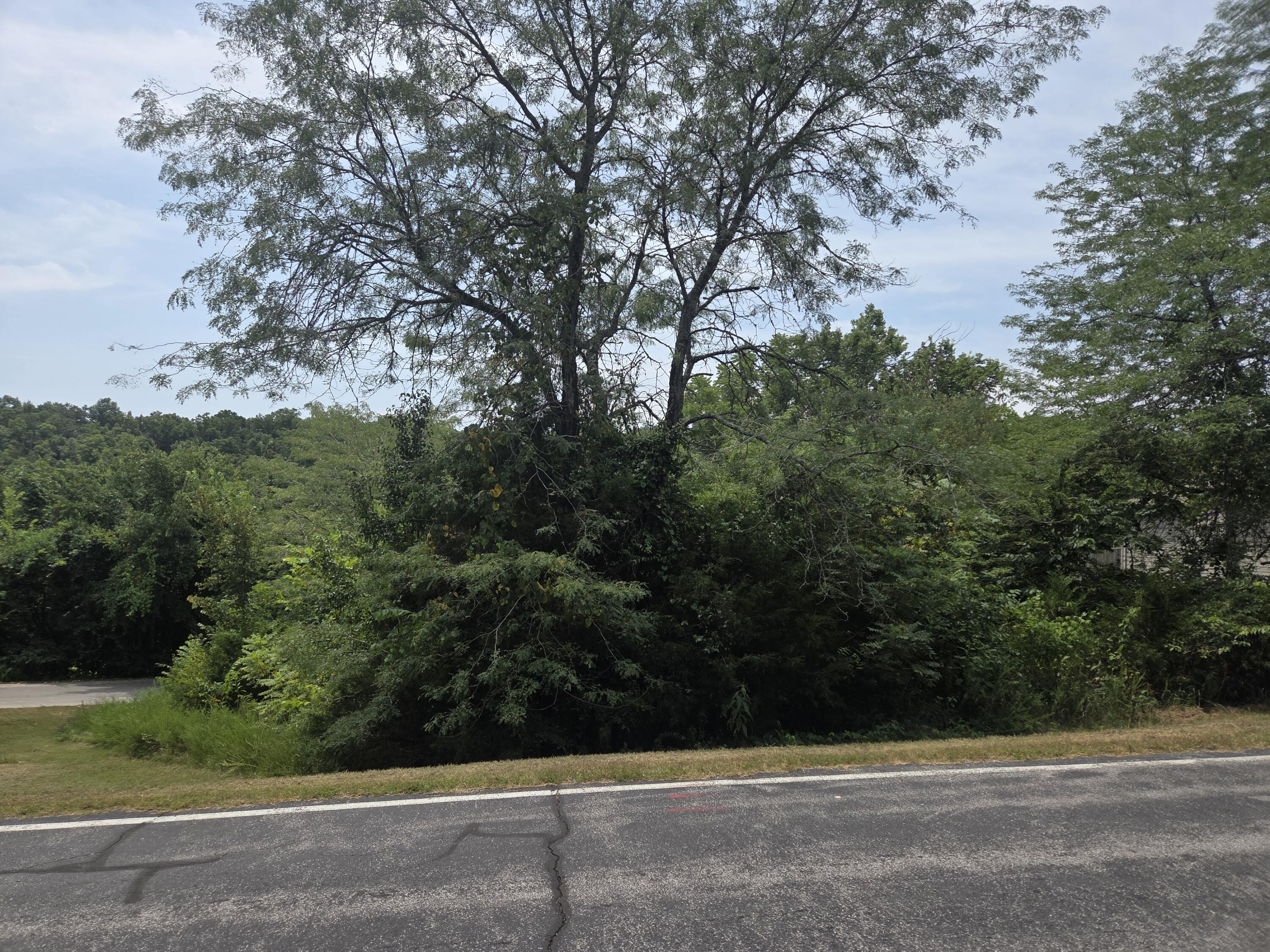 Lot 30 Roark Branch Road Property Photo 1